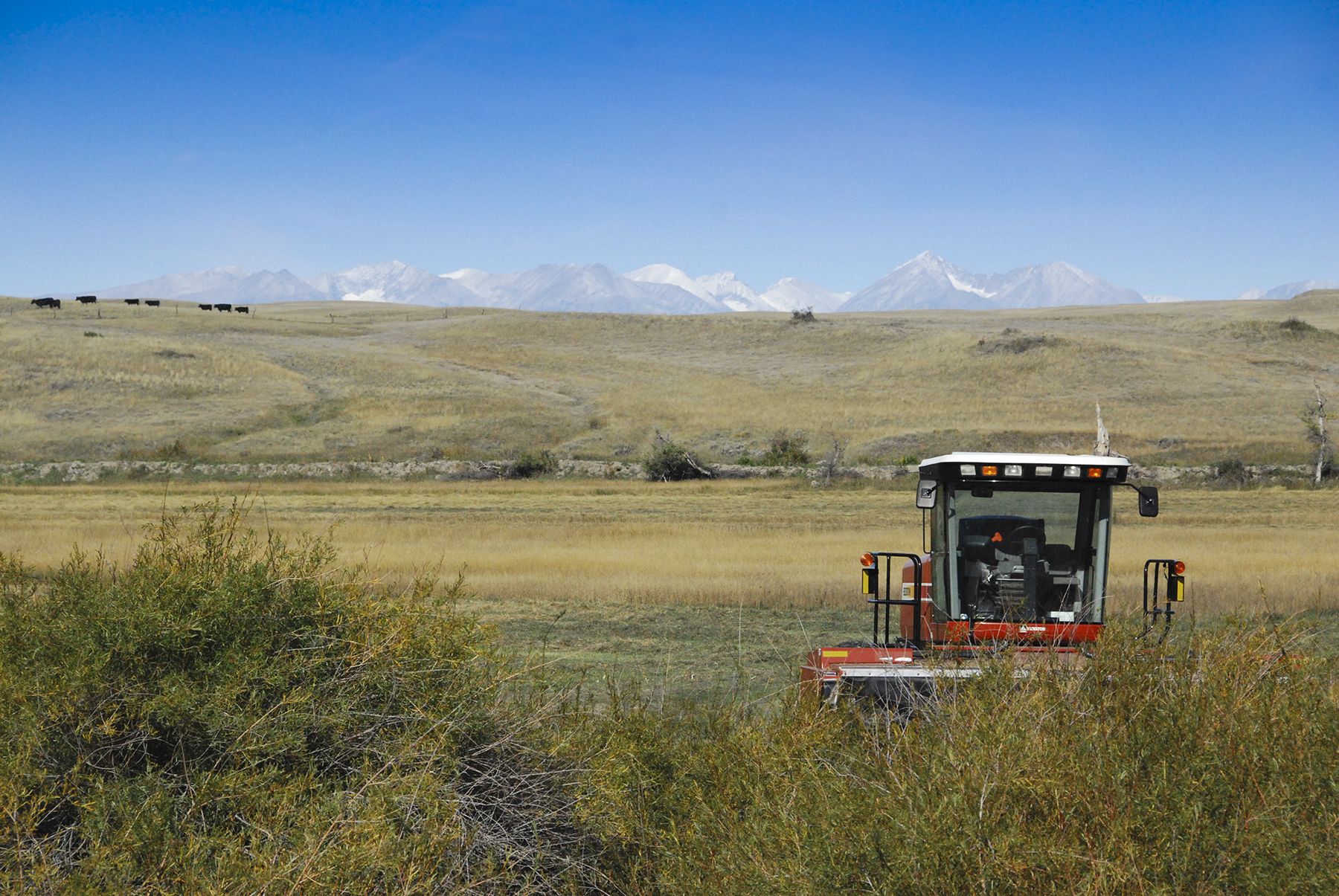 Sweet Grass Creek Ranch property picture 20 of 45