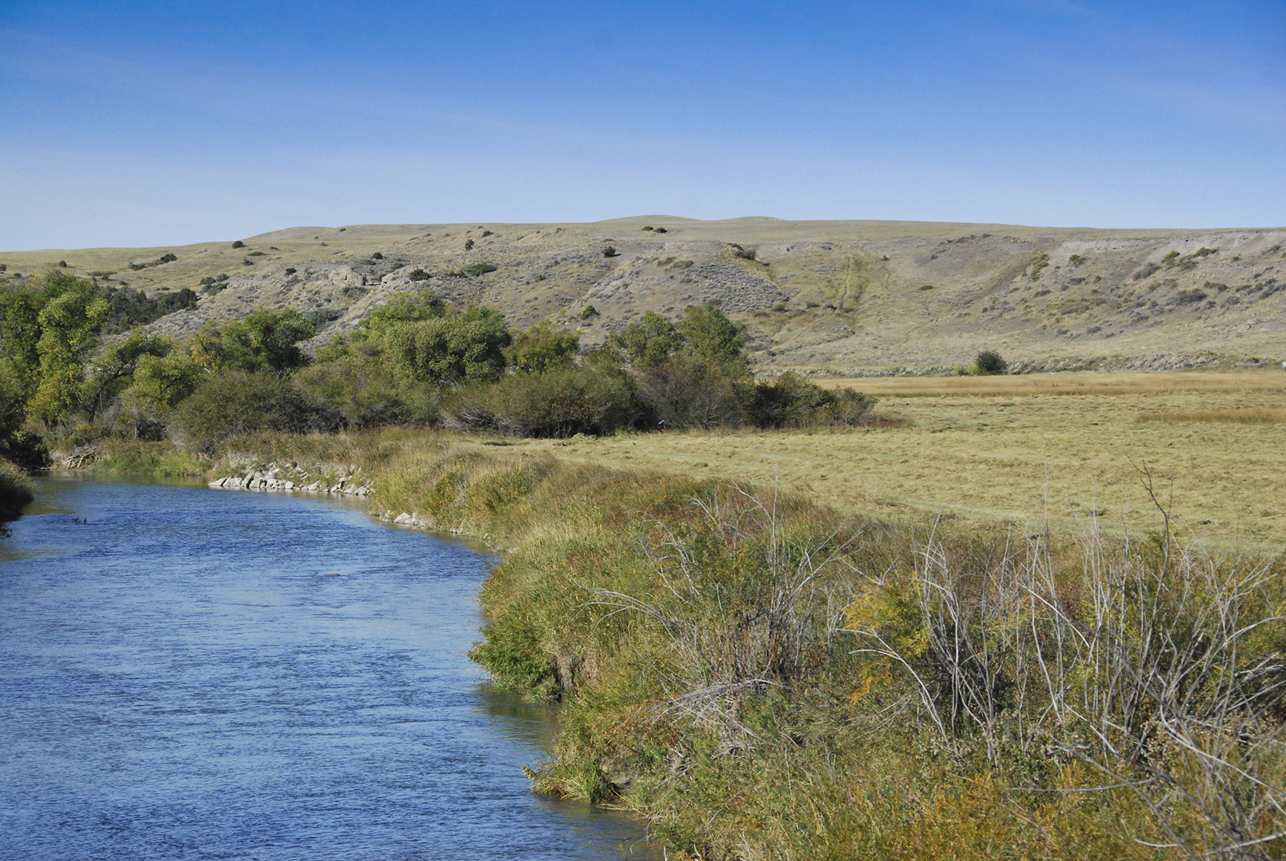 Sweet Grass Creek Ranch property picture 19 of 45