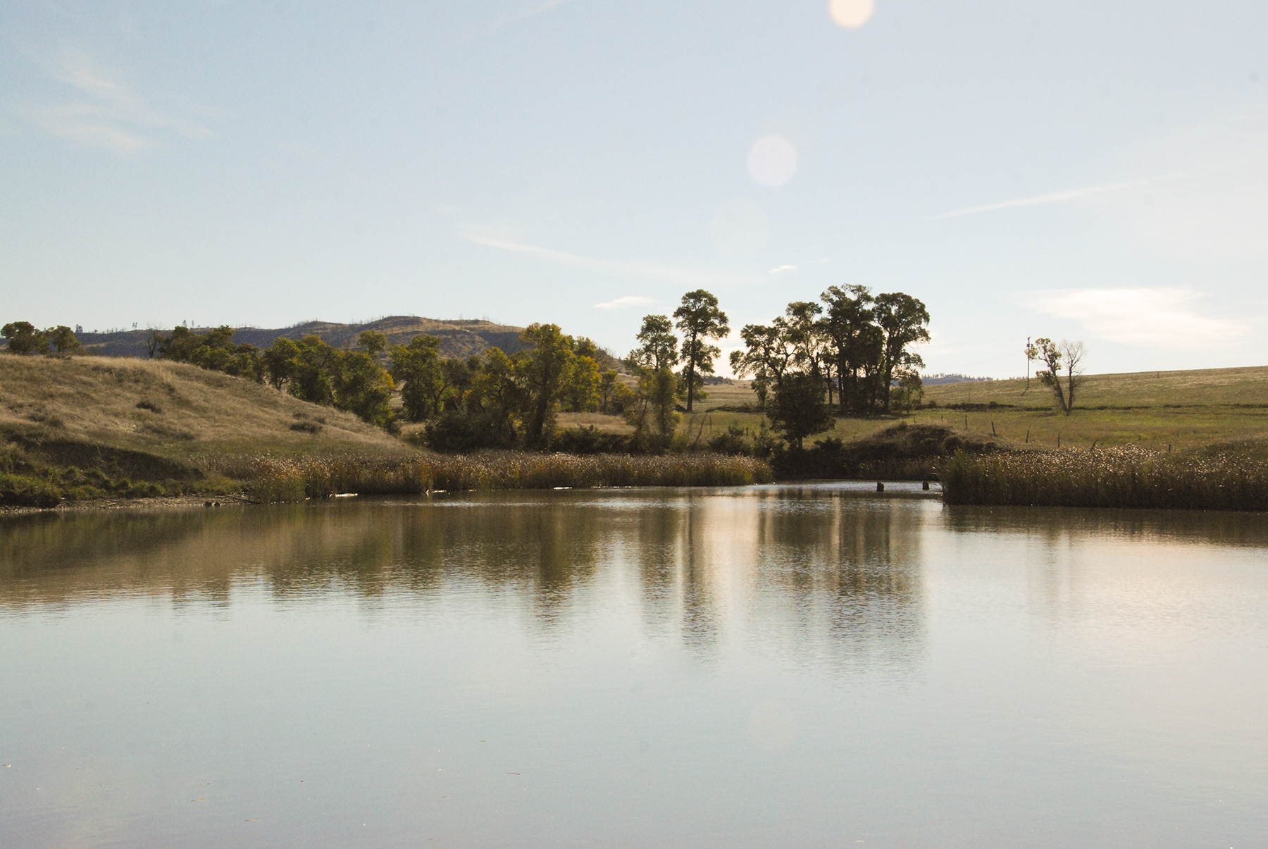 Sweet Grass Creek Ranch property picture 18 of 45