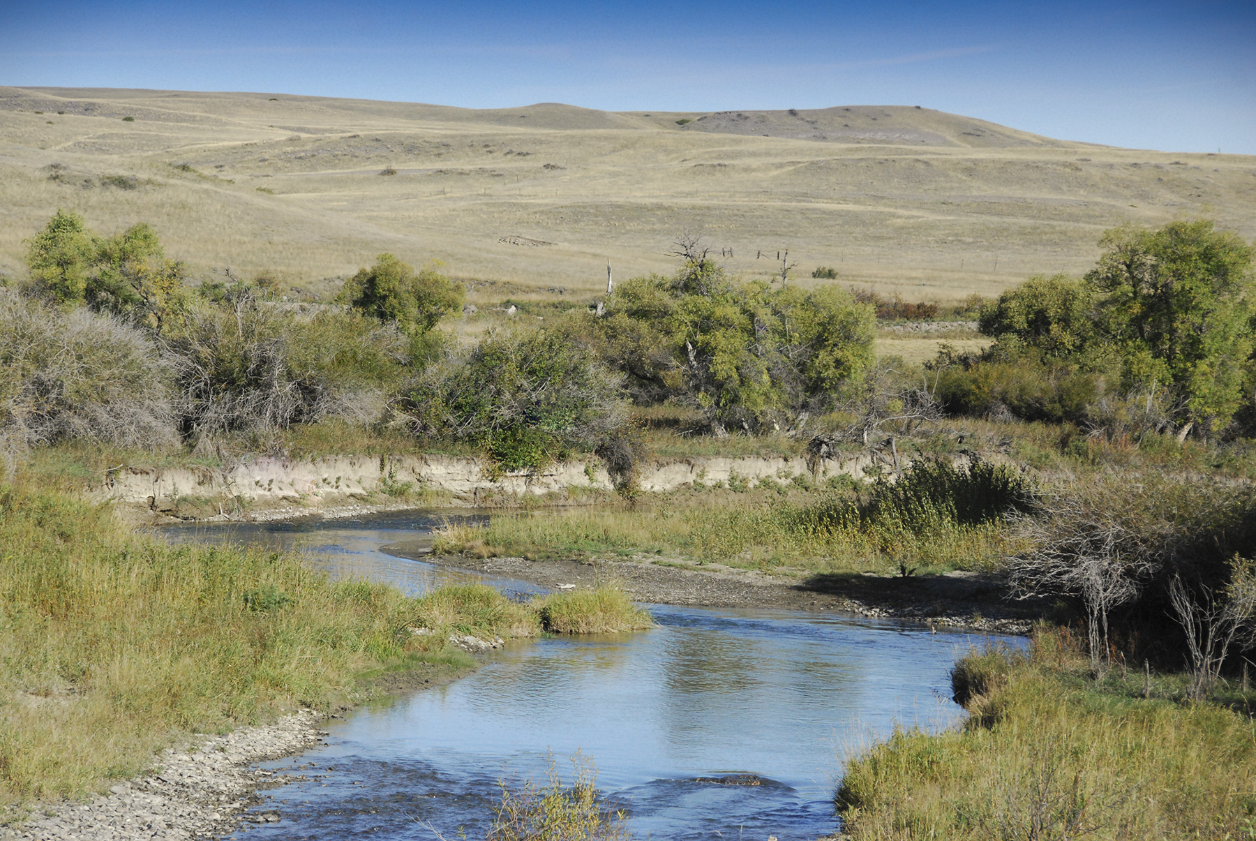 Sweet Grass Creek Ranch property picture 14 of 45