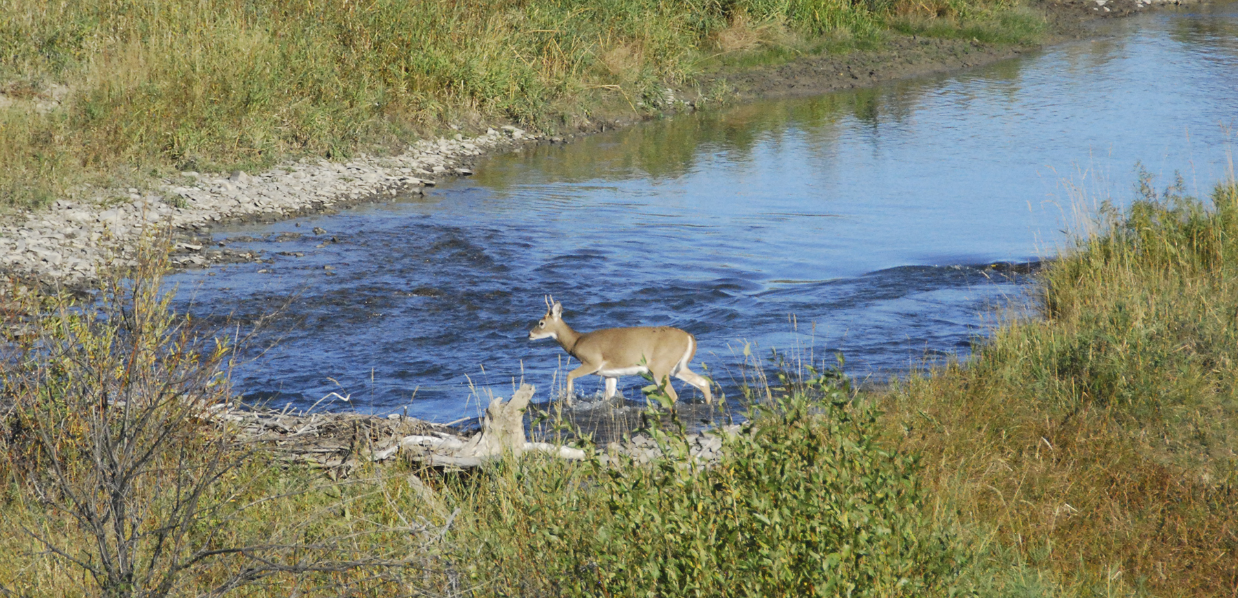 Sweet Grass Creek Ranch property picture 13 of 45