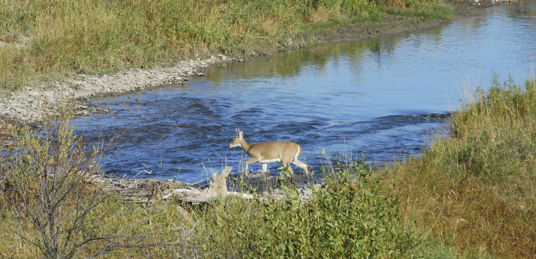 Sweet Grass Creek Ranch property picture 12 of 45