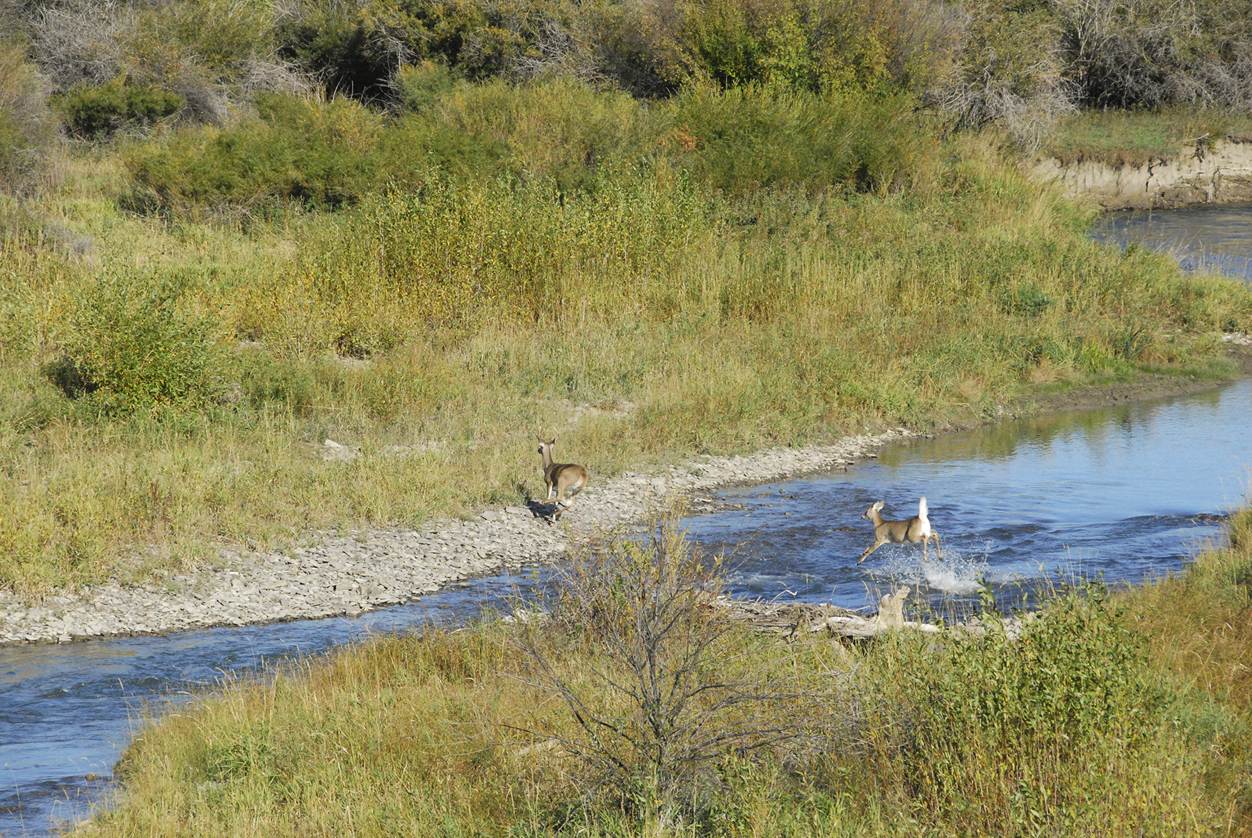 Sweet Grass Creek Ranch property picture 11 of 45