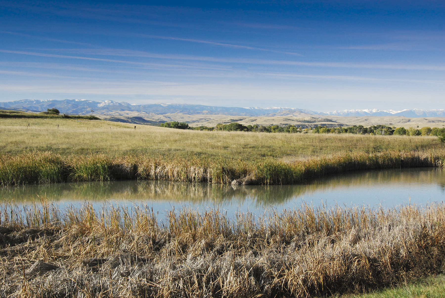 Sweet Grass Creek Ranch property picture 9 of 45