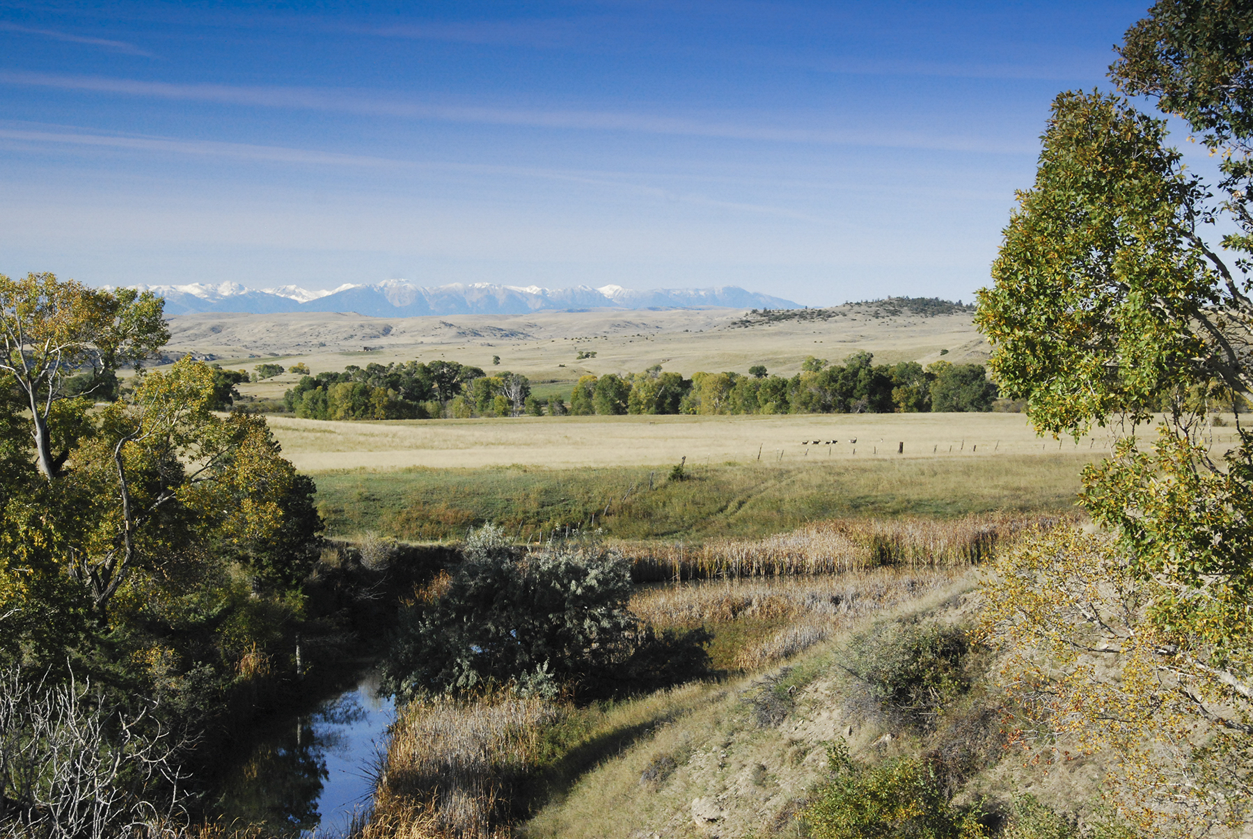 Sweet Grass Creek Ranch property picture 7 of 45