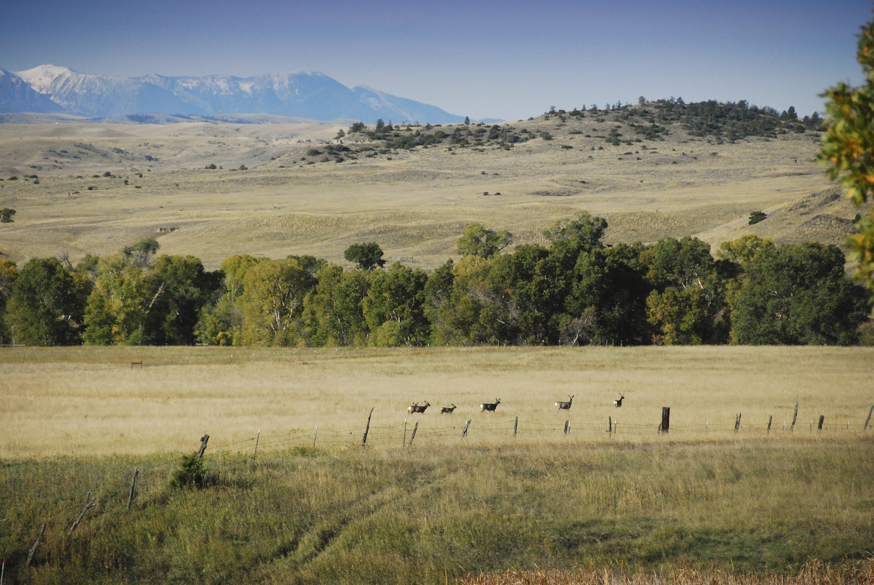 Sweet Grass Creek Ranch property picture 6 of 45