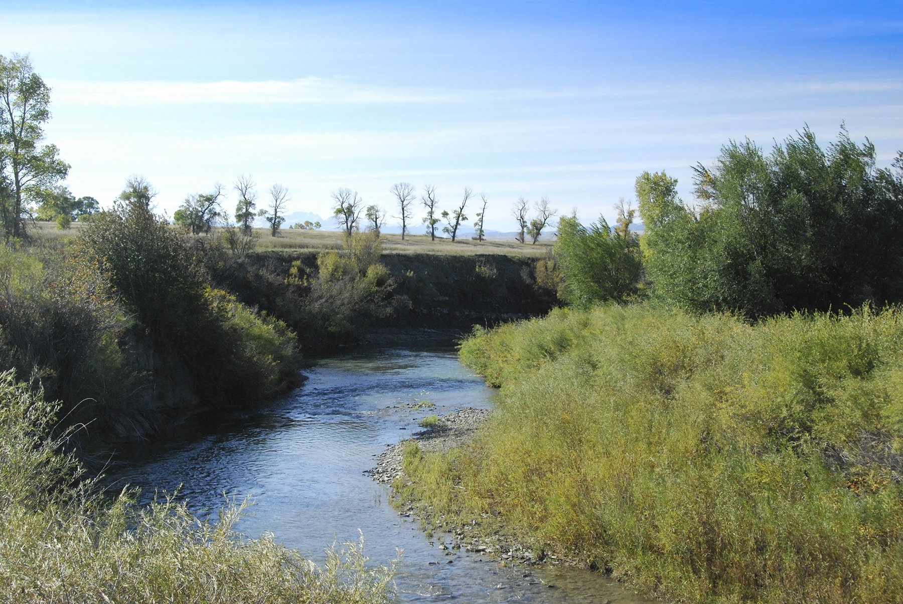 Sweet Grass Creek Ranch property picture 3 of 45
