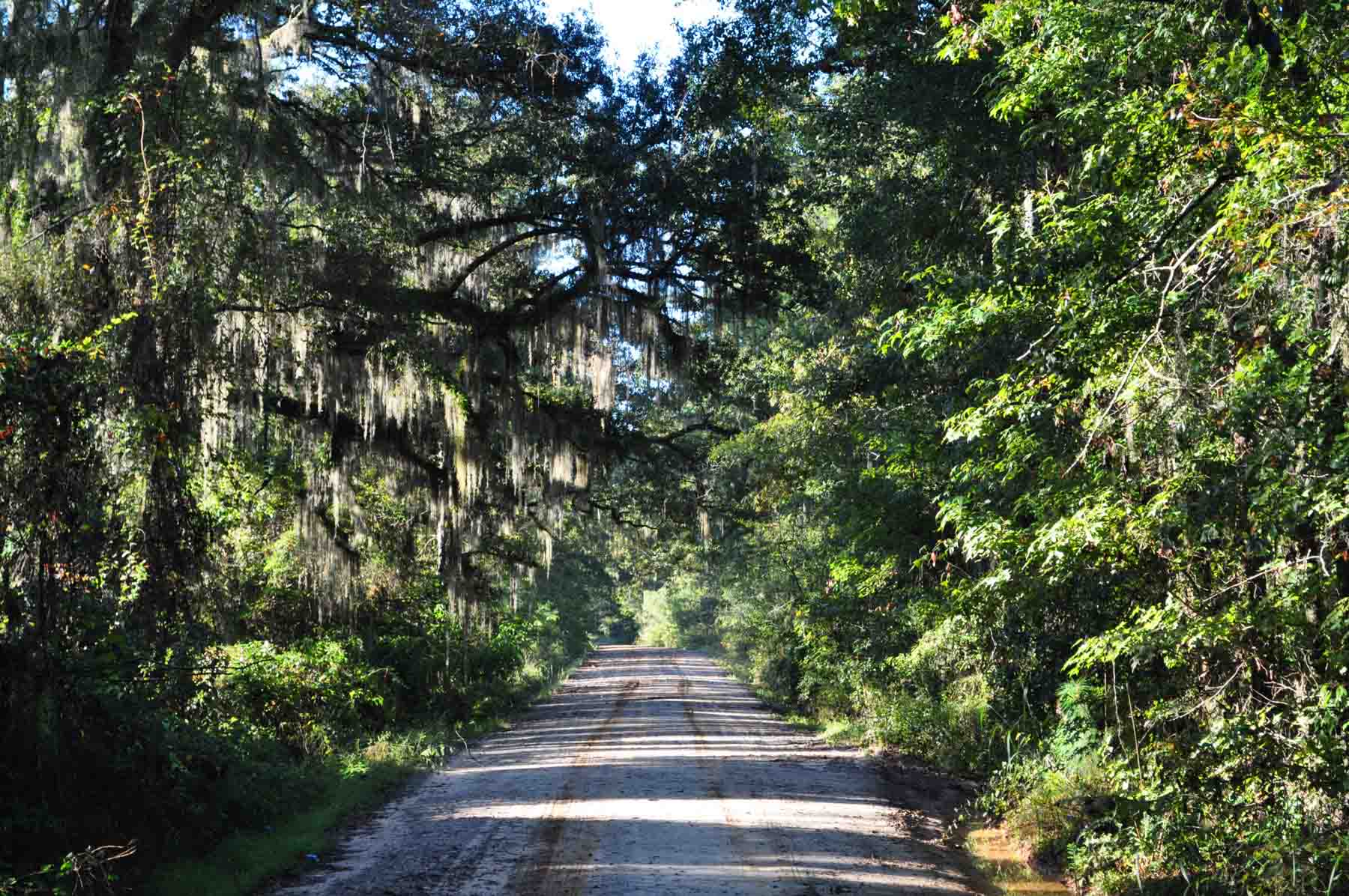 Braewood property picture 7 of 16