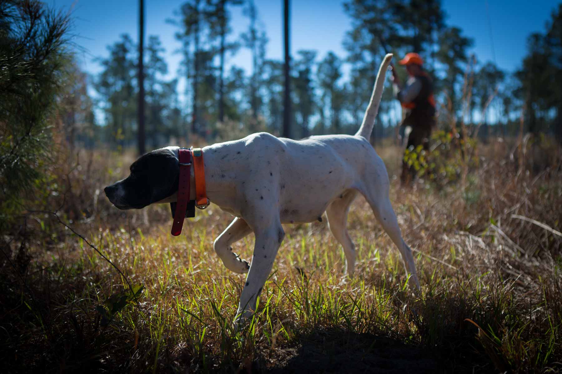 Braewood property picture 4 of 16