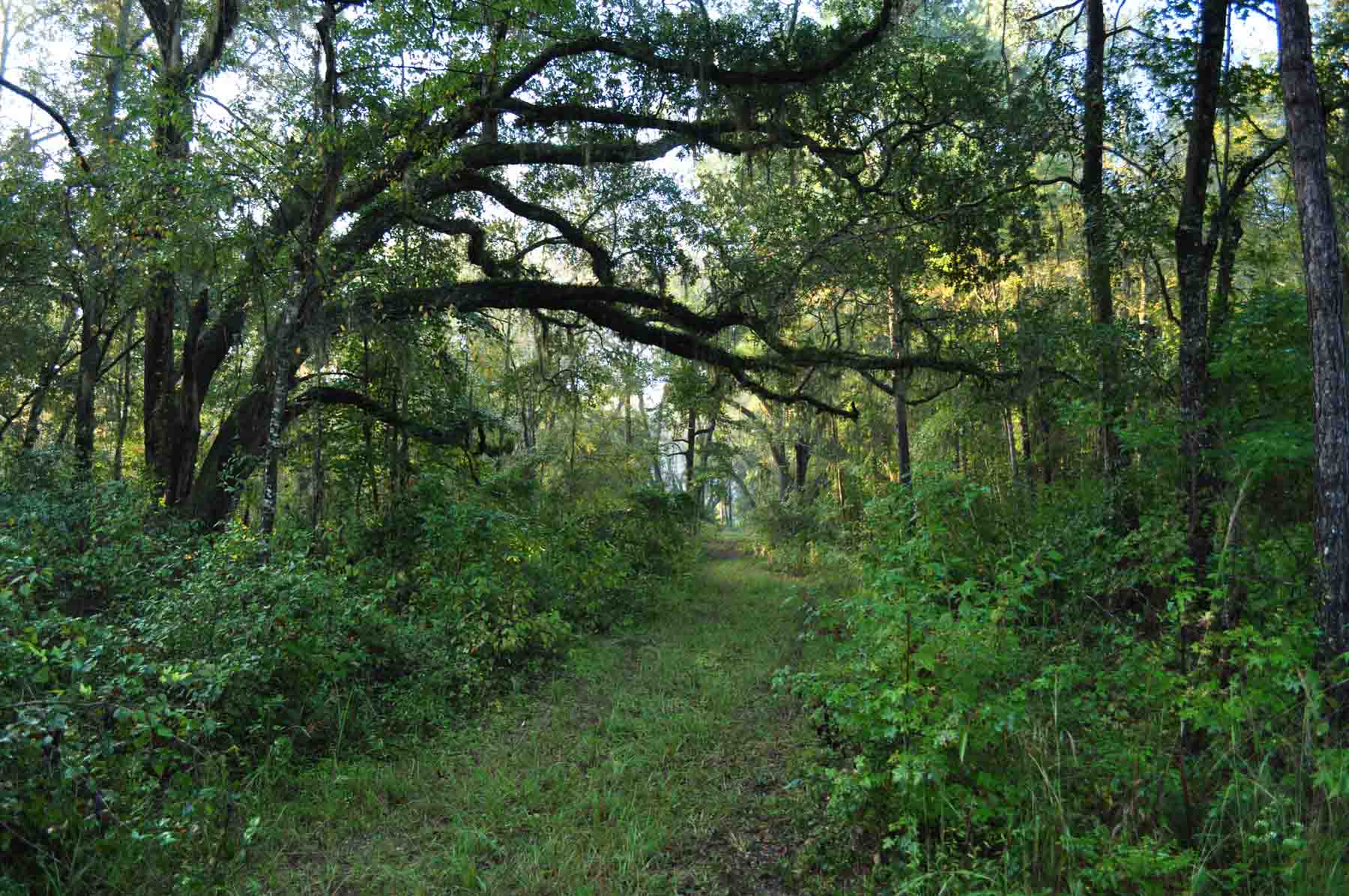 Braewood property picture 9 of 16