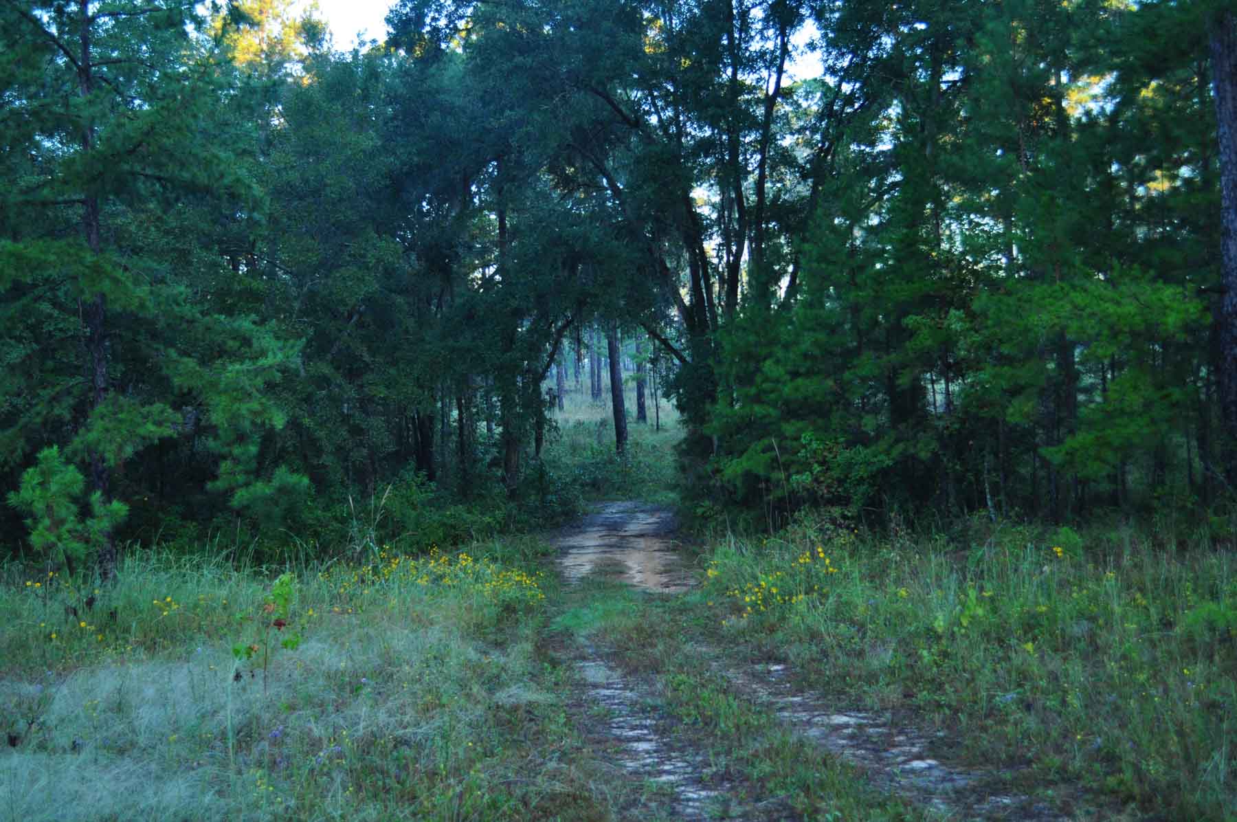 Braewood property picture 14 of 16