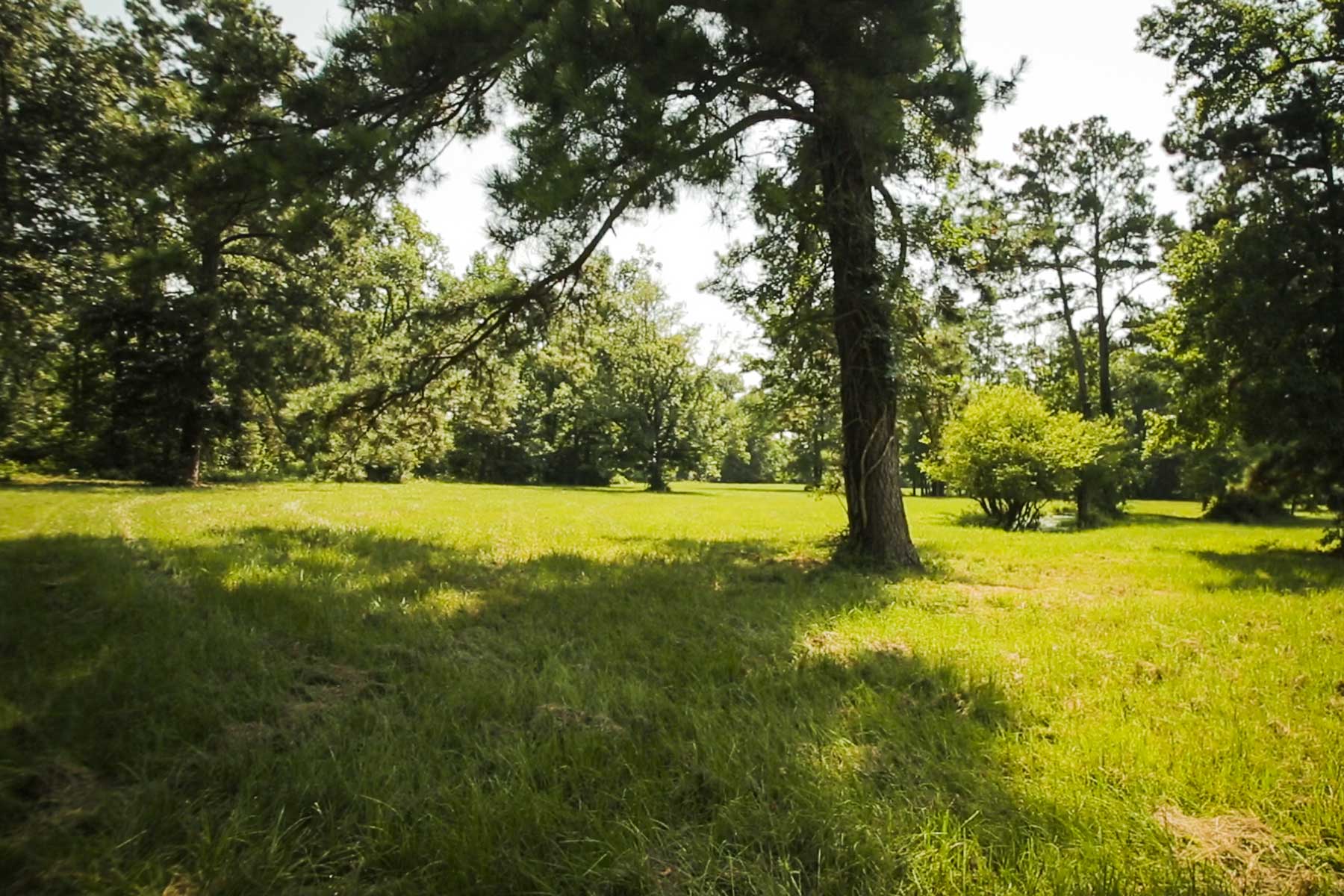 Cripple Creek Ranch property picture 15 of 45