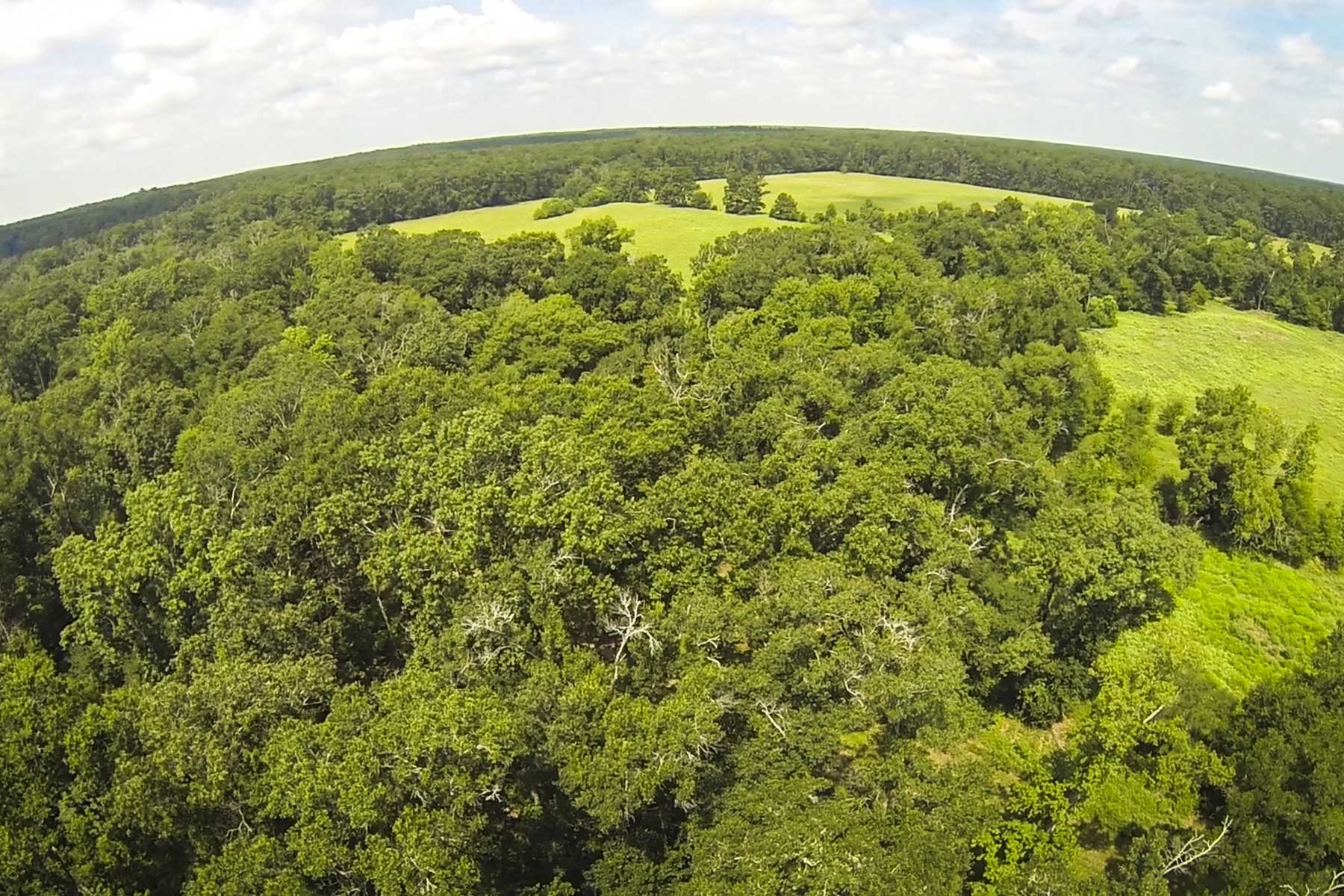 Cripple Creek Ranch property picture 5 of 45