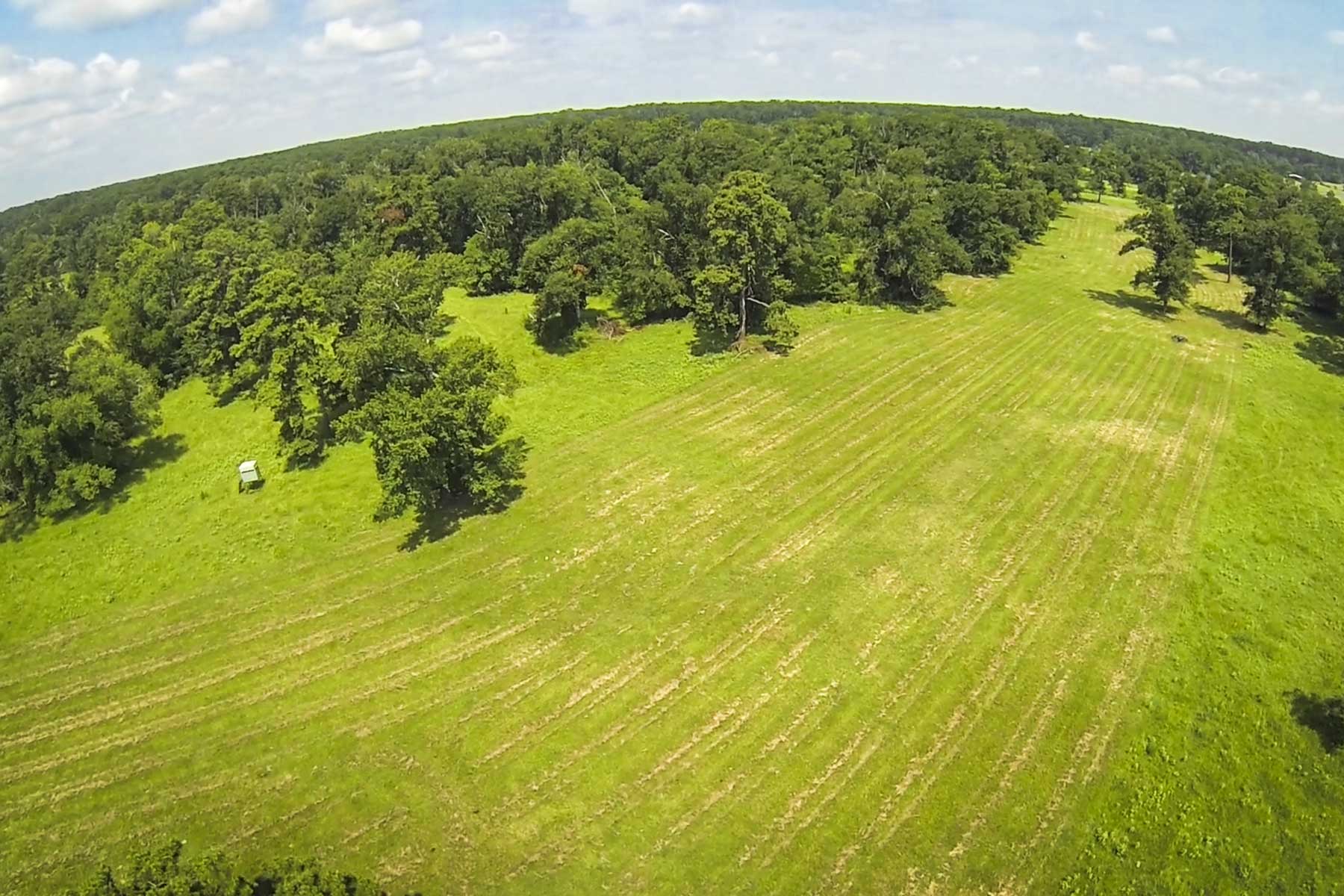 Cripple Creek Ranch property picture 4 of 45