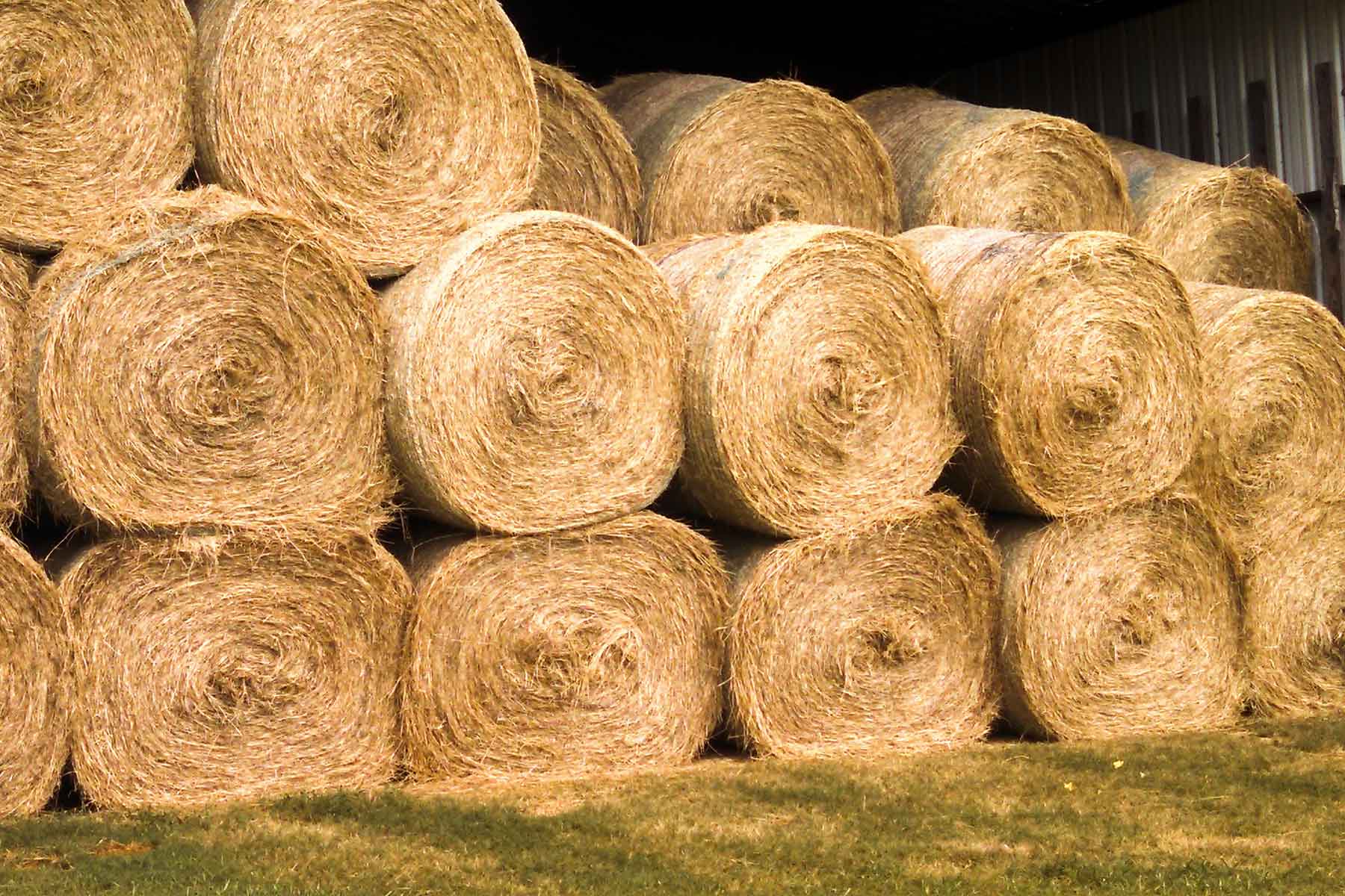 Cripple Creek Ranch property picture 23 of 45