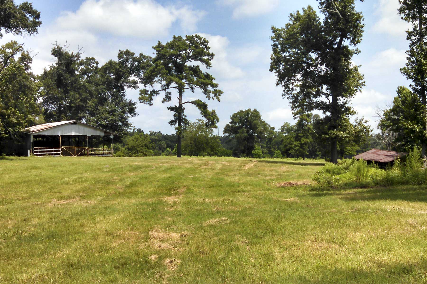 Cripple Creek Ranch property picture 28 of 45