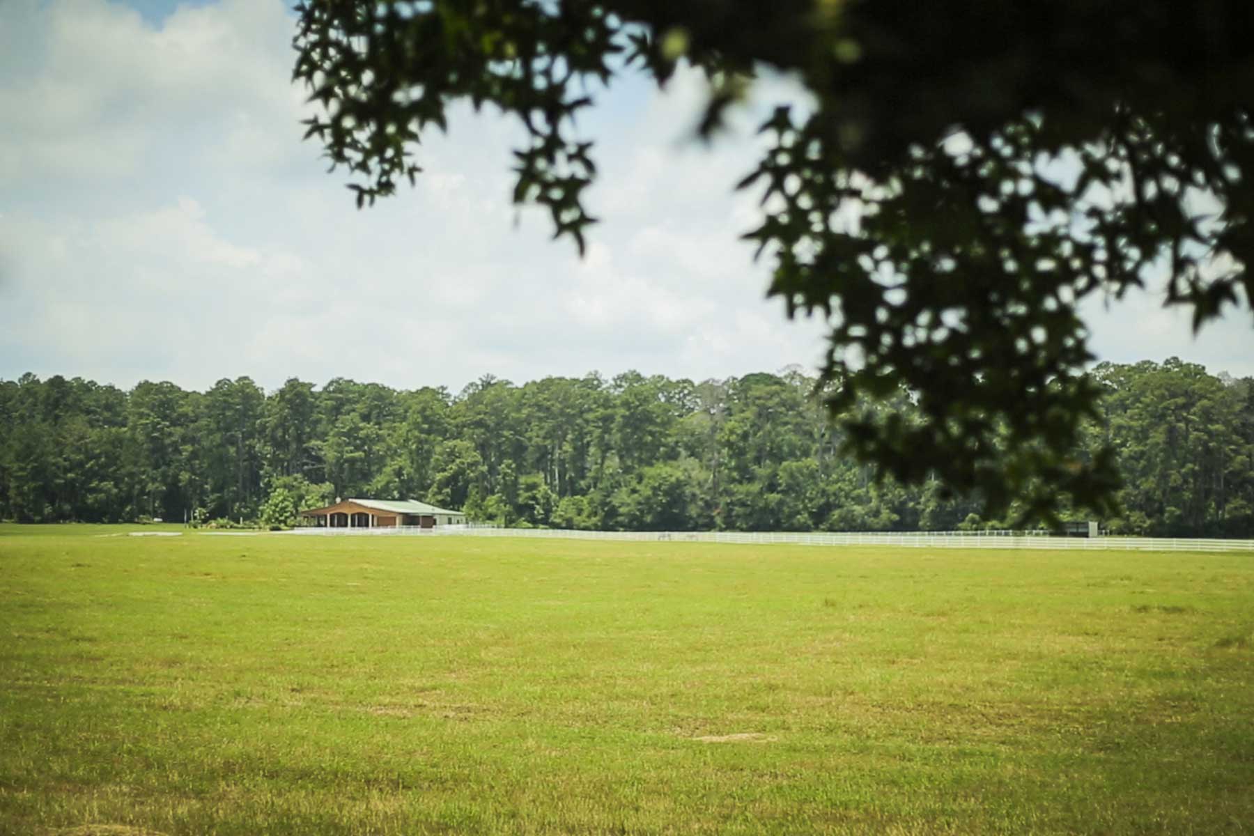 Cripple Creek Ranch property picture 30 of 45