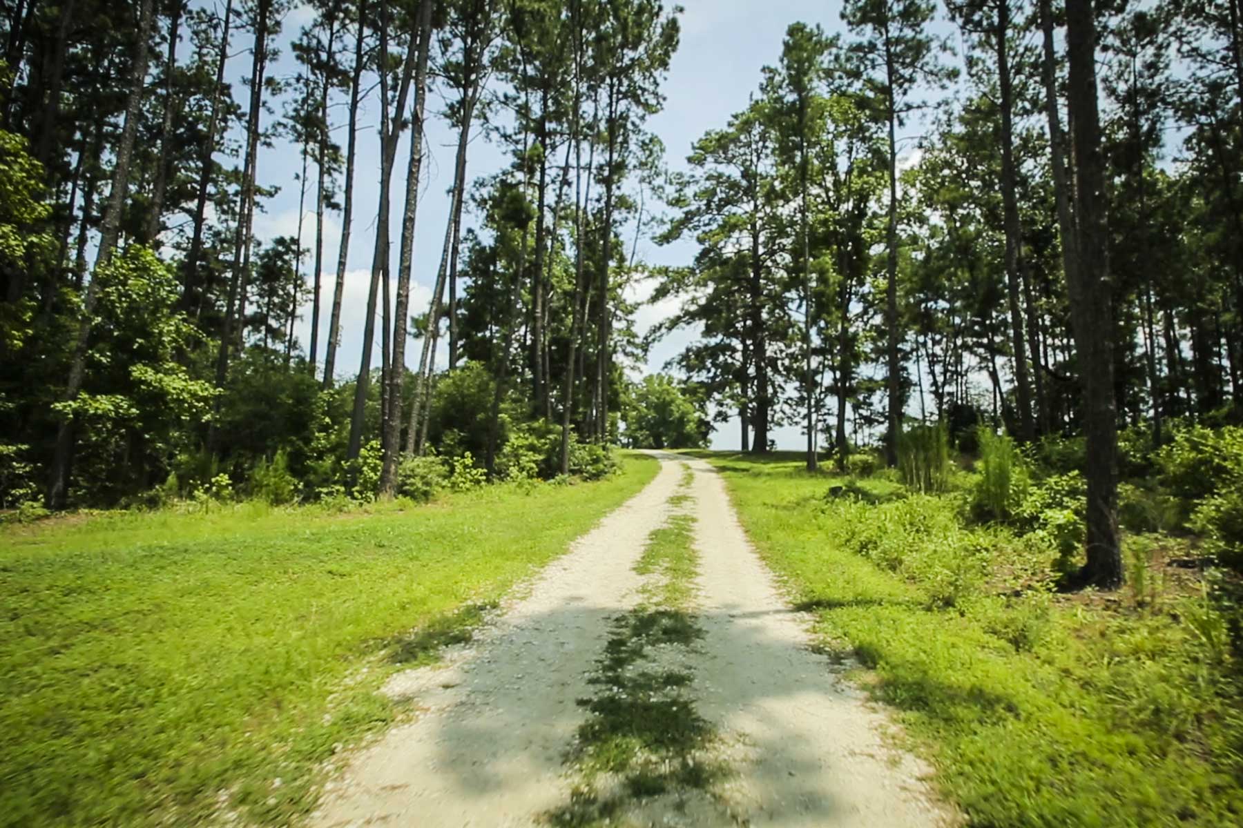 Cripple Creek Ranch property picture 31 of 45
