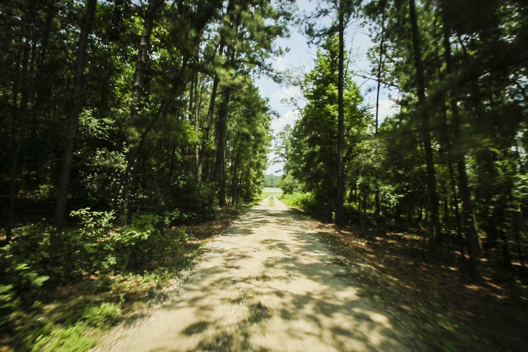 Cripple Creek Ranch property picture 32 of 45