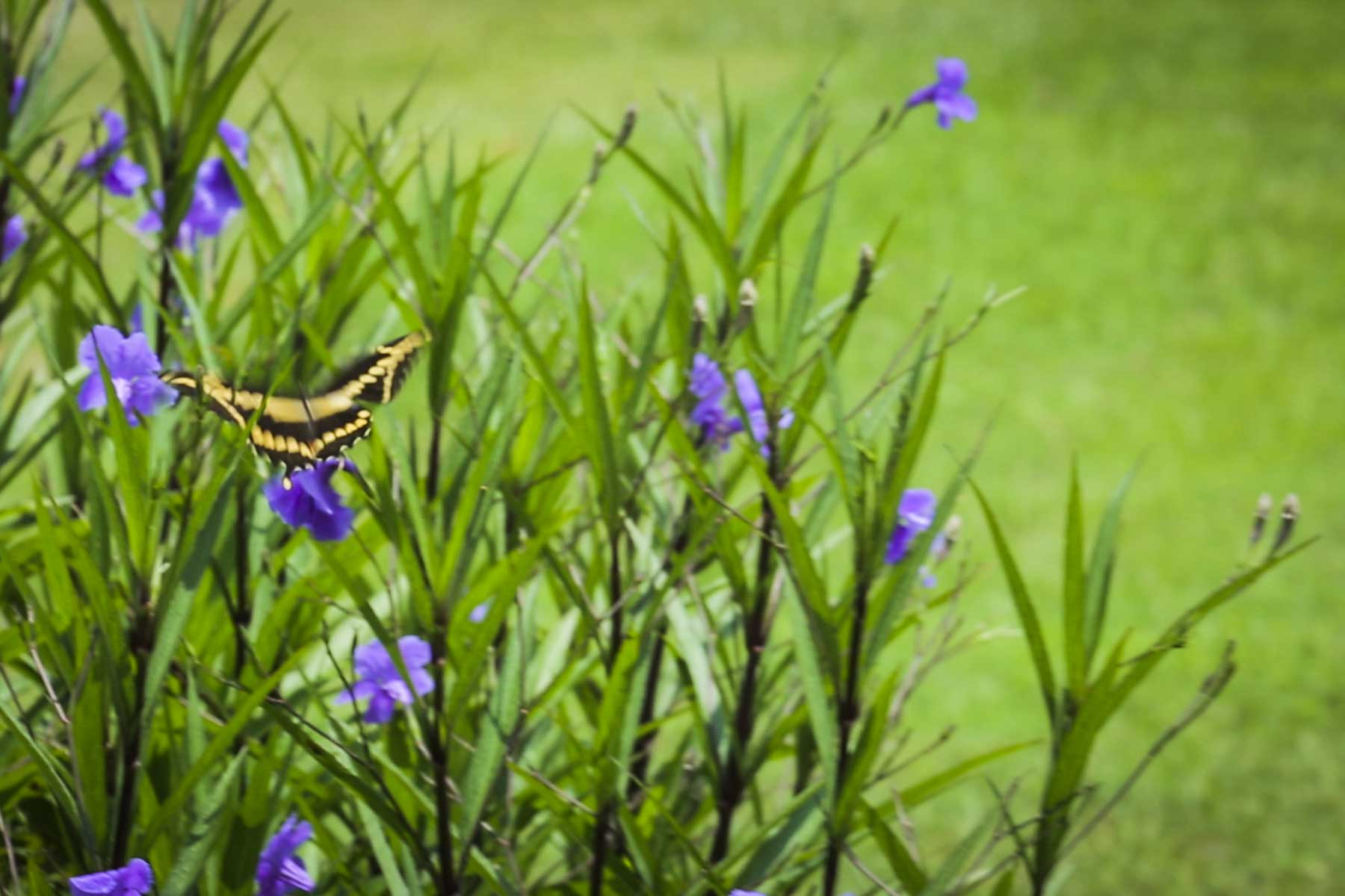 Cripple Creek Ranch property picture 33 of 45