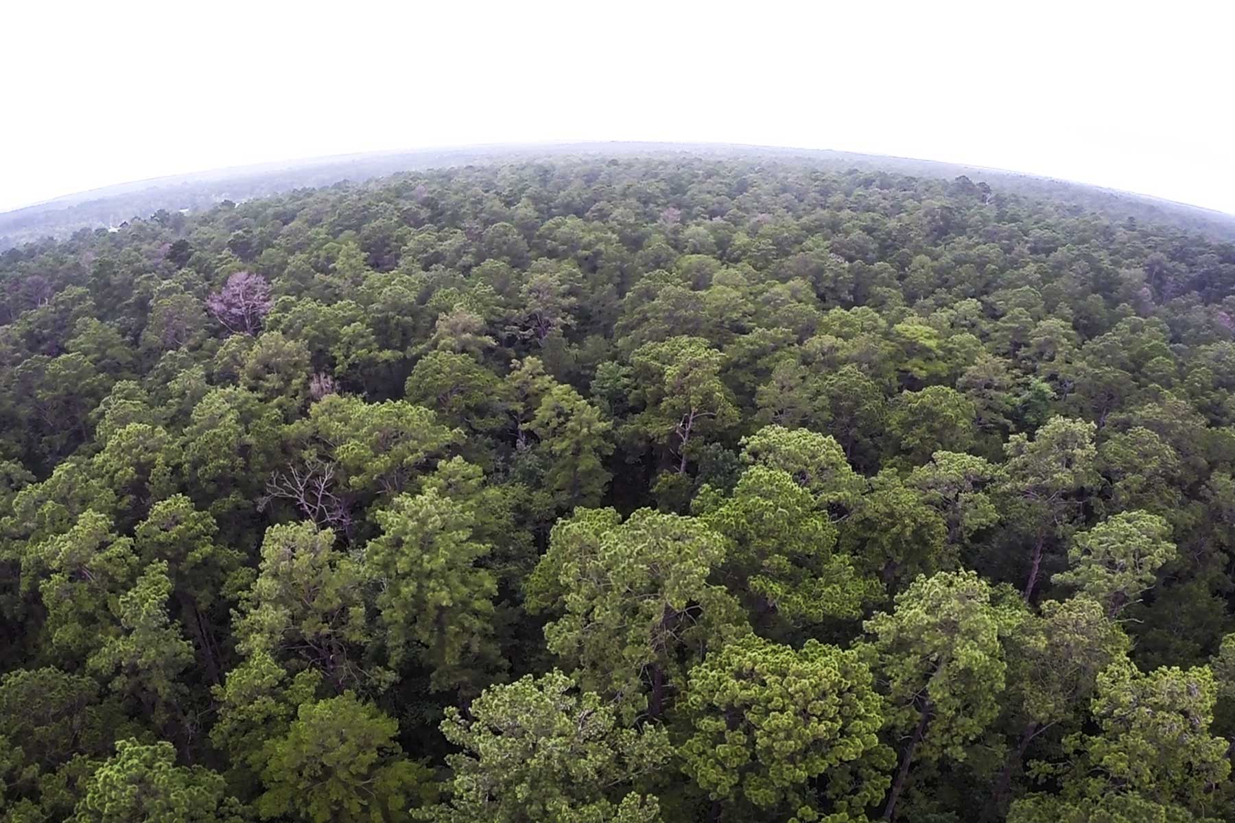 Cripple Creek Ranch property picture 42 of 45