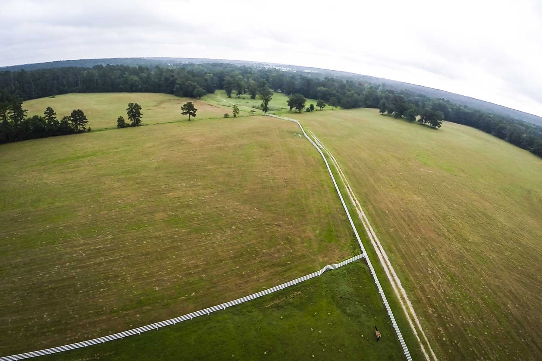 Cripple Creek Ranch property picture 35 of 45