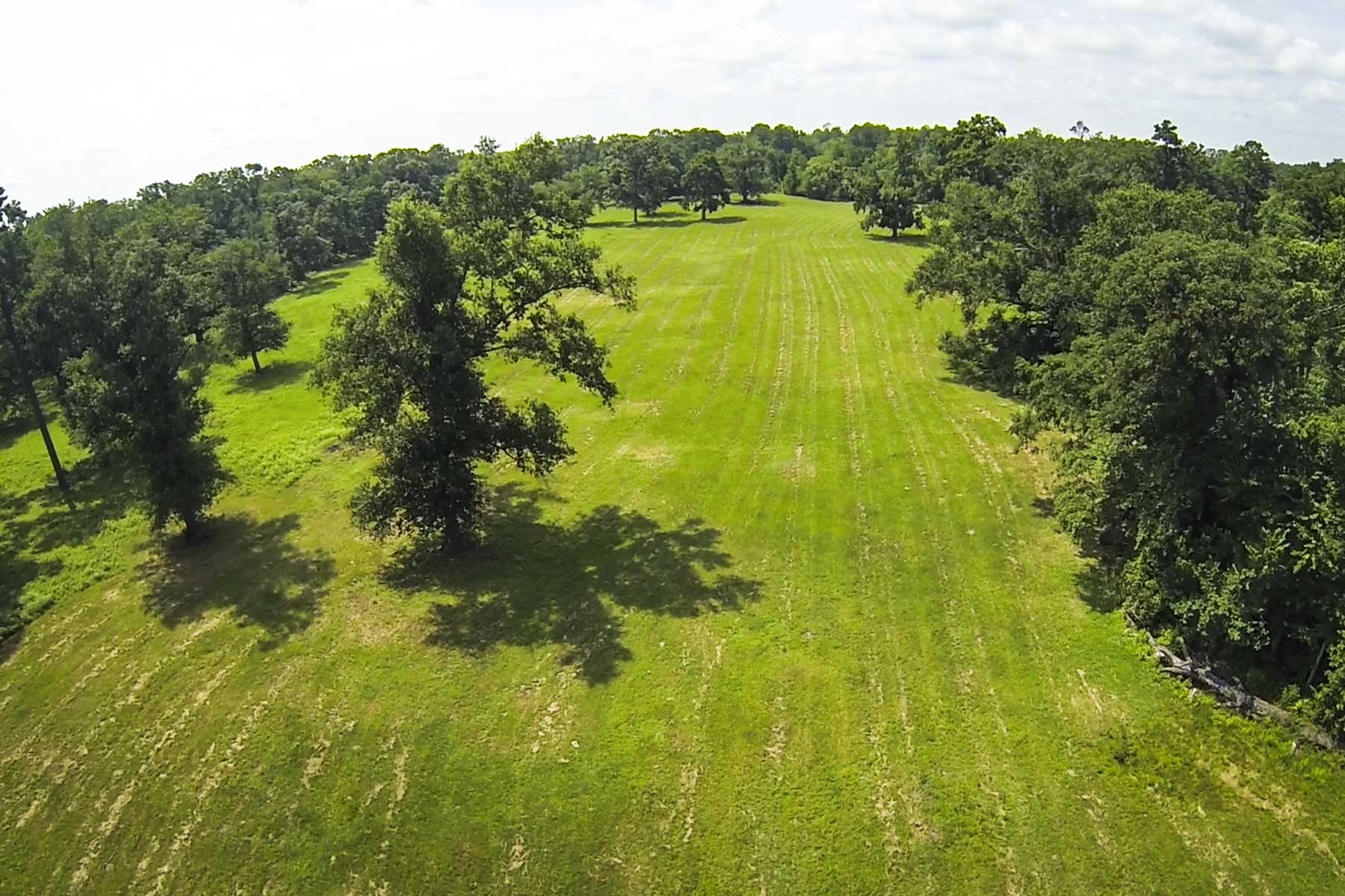 Cripple Creek Ranch property picture 45 of 45