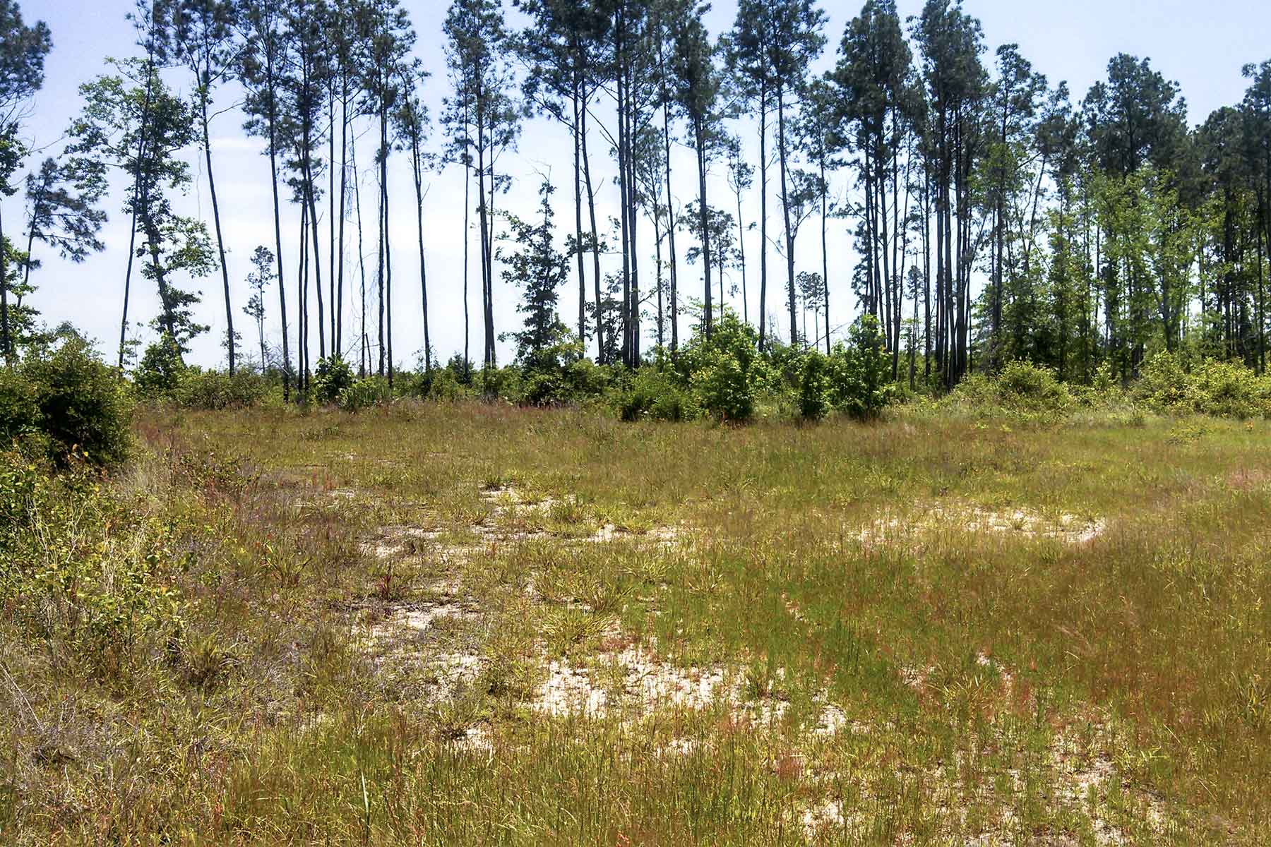 Trevat Ranch property picture 2 of 3