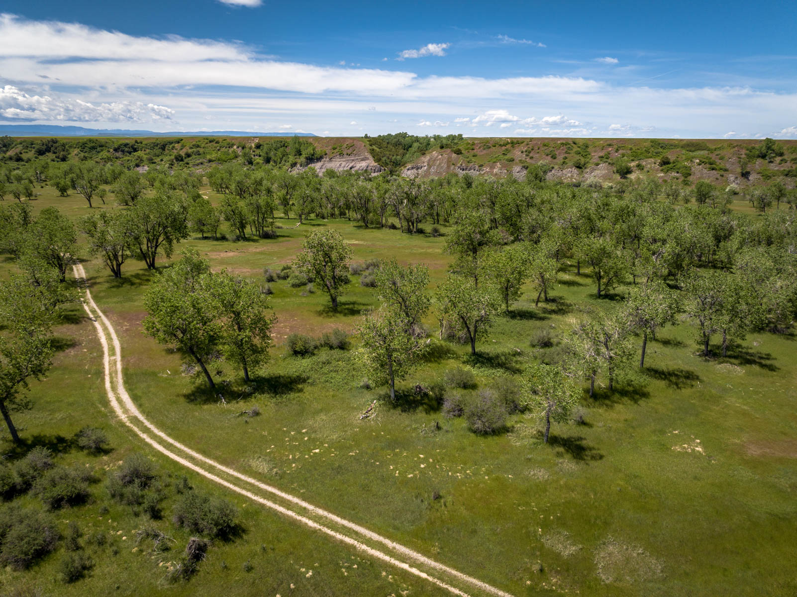 Dry Fly Sporting Ranch property picture 5 of 38