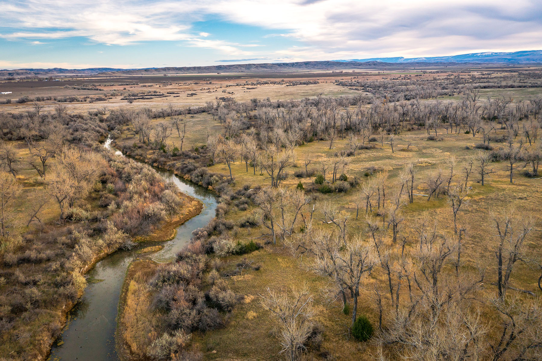 Dry Fly Sporting Ranch property picture 26 of 38
