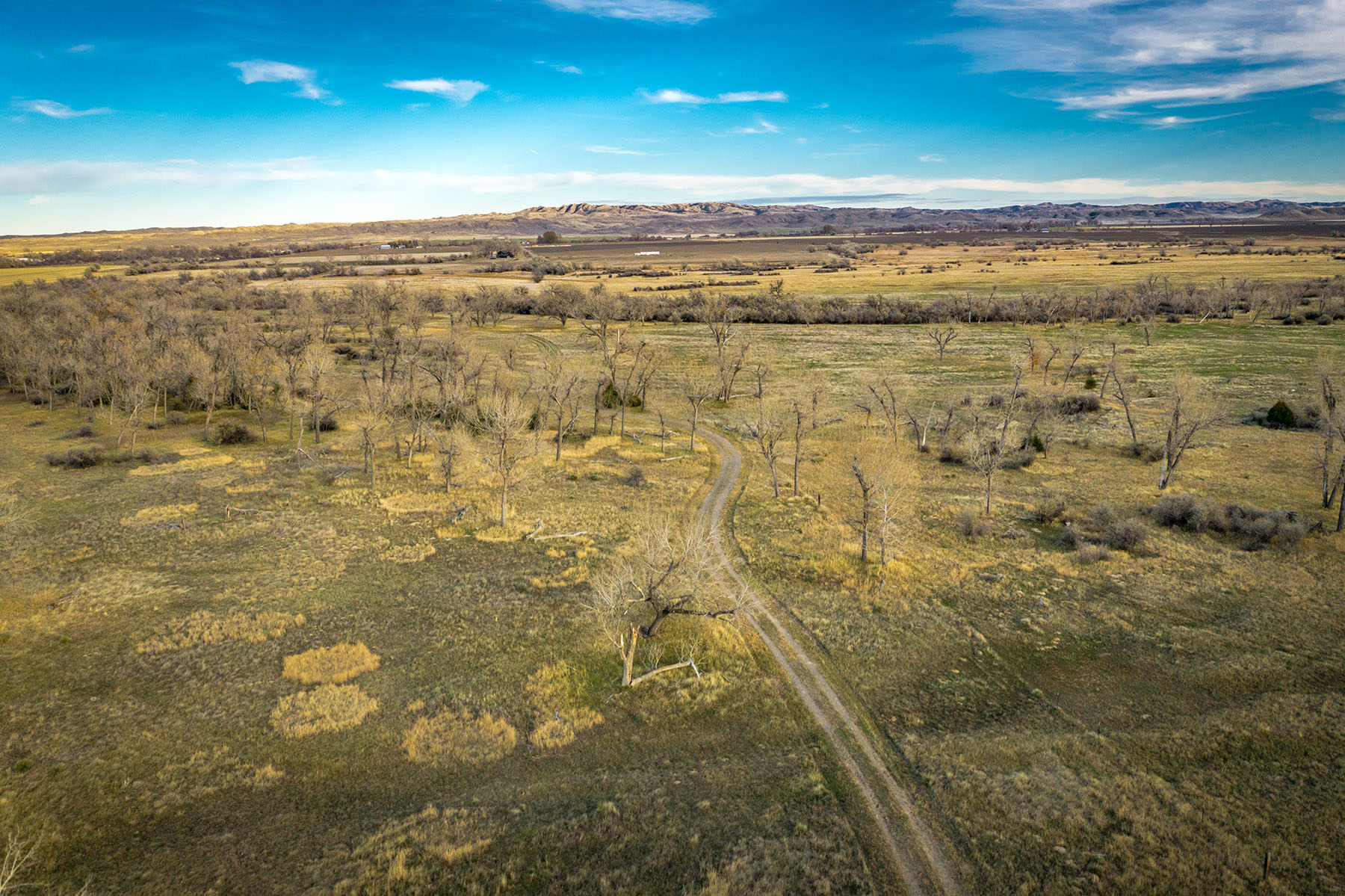 Dry Fly Sporting Ranch property picture 36 of 38