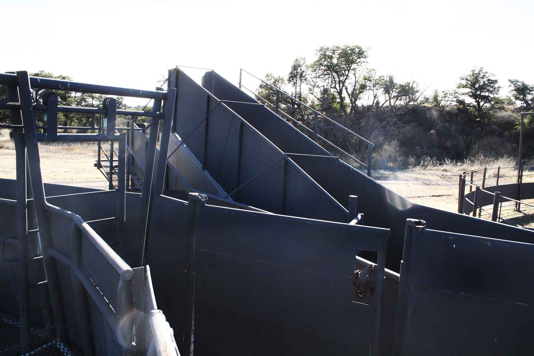 Mission Oaks Ranch property picture 28 of 76