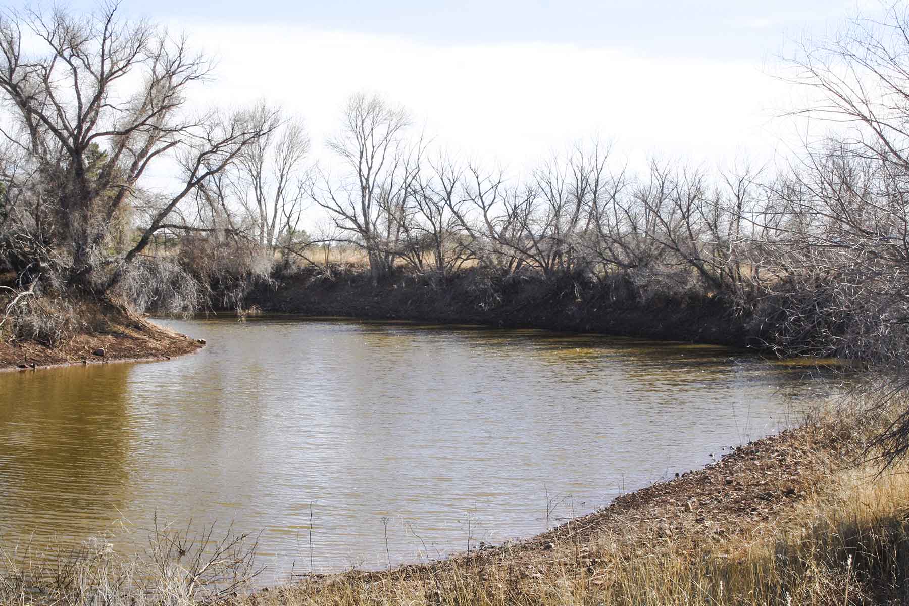 Mission Oaks Ranch property picture 23 of 76