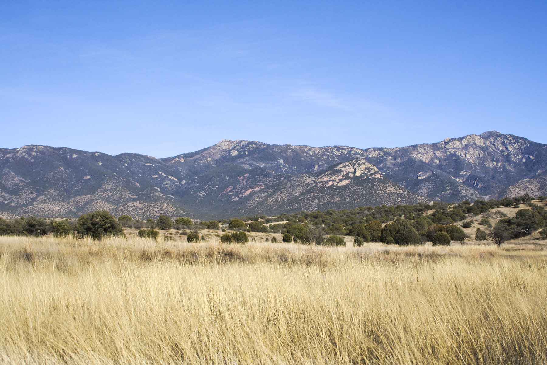 Mission Oaks Ranch property picture 22 of 76