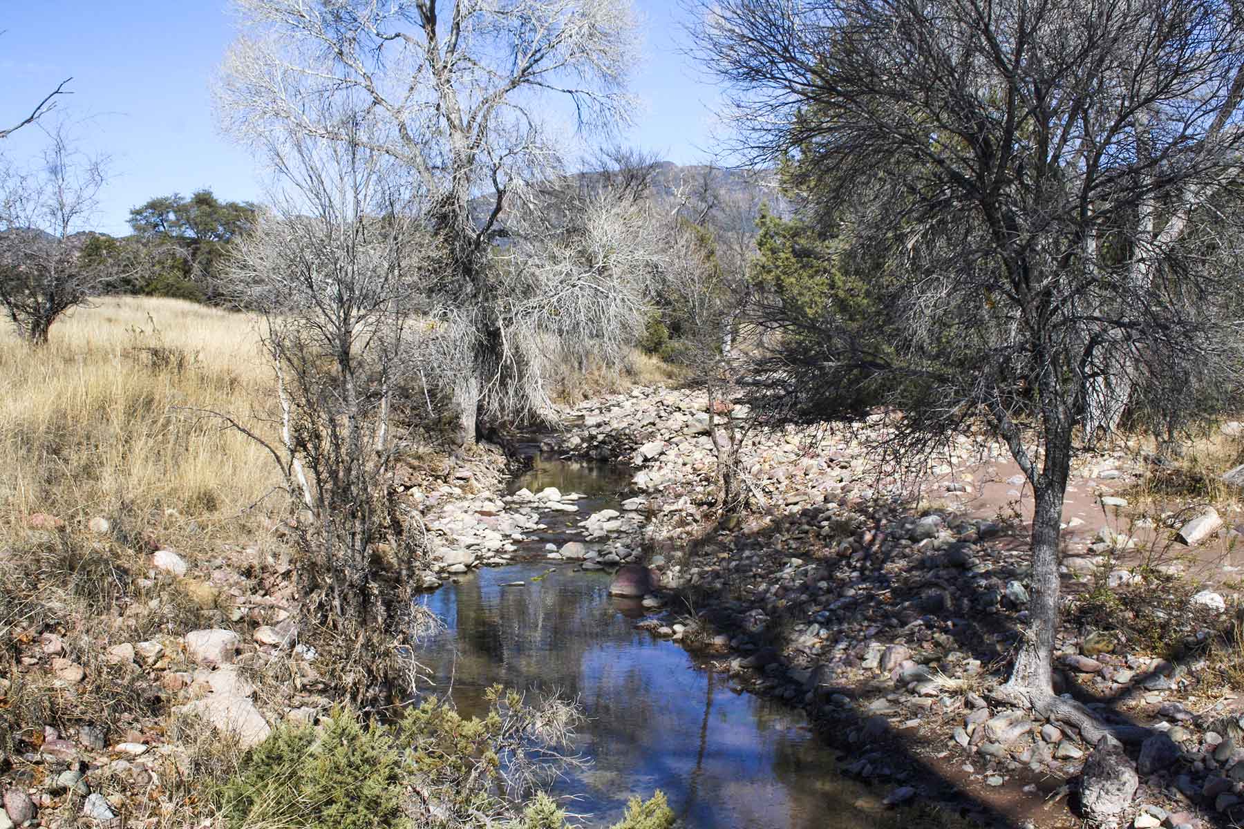 Mission Oaks Ranch property picture 21 of 76