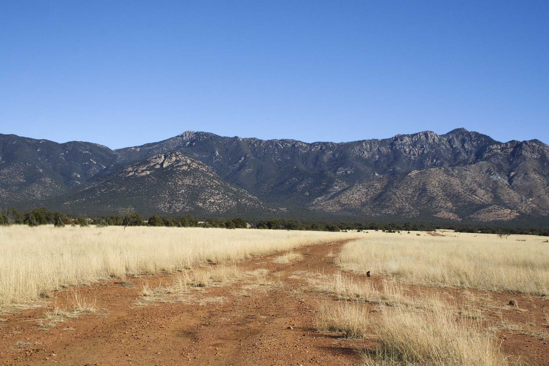 Mission Oaks Ranch property picture 9 of 76