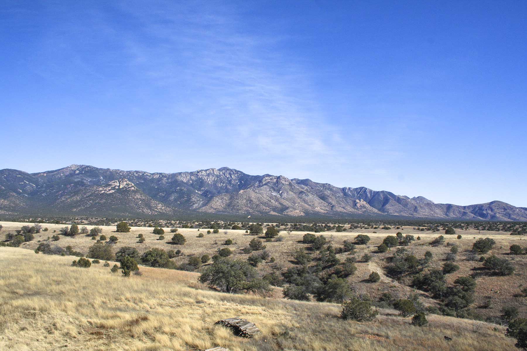 Mission Oaks Ranch property picture 6 of 76