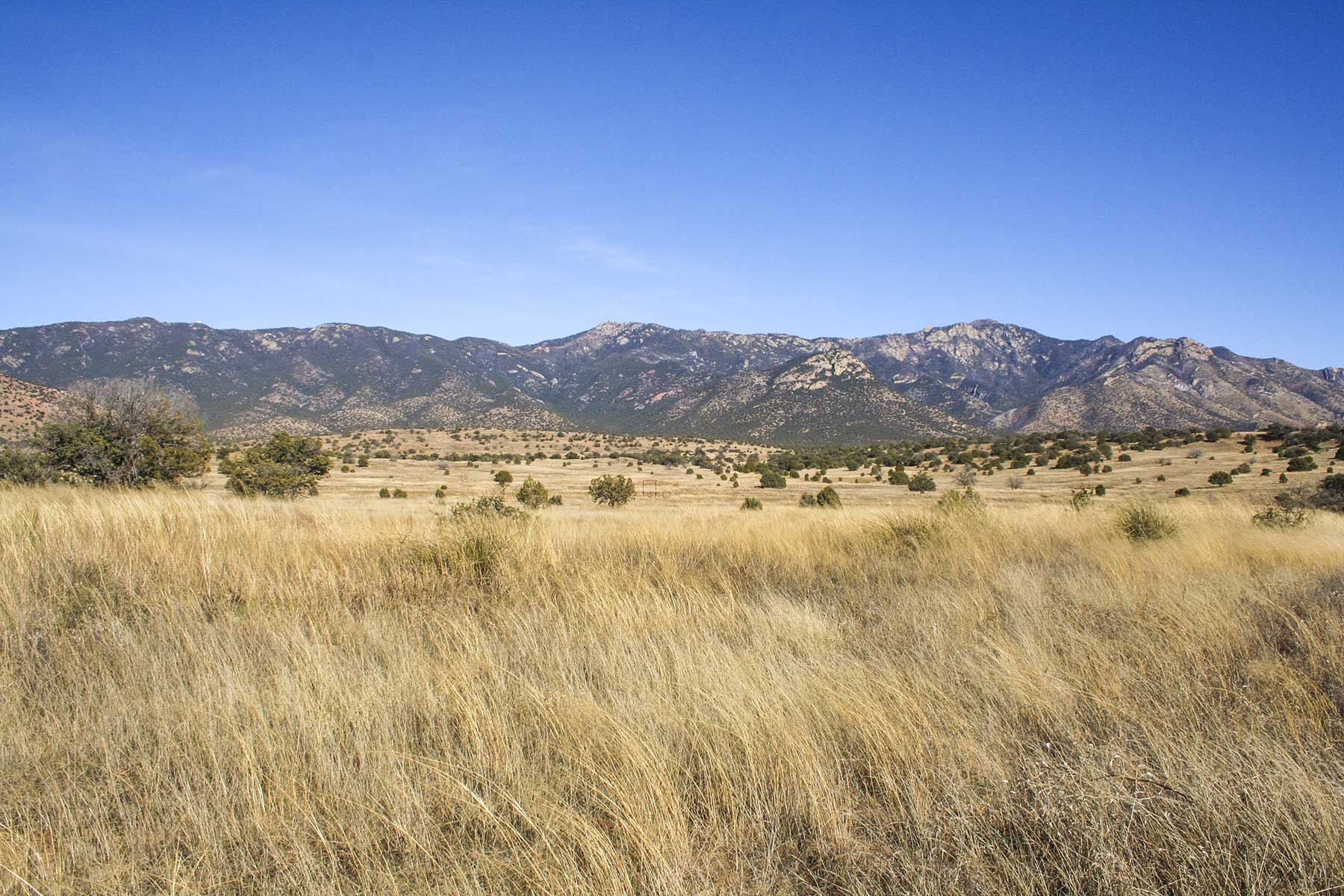 Mission Oaks Ranch property picture 73 of 76