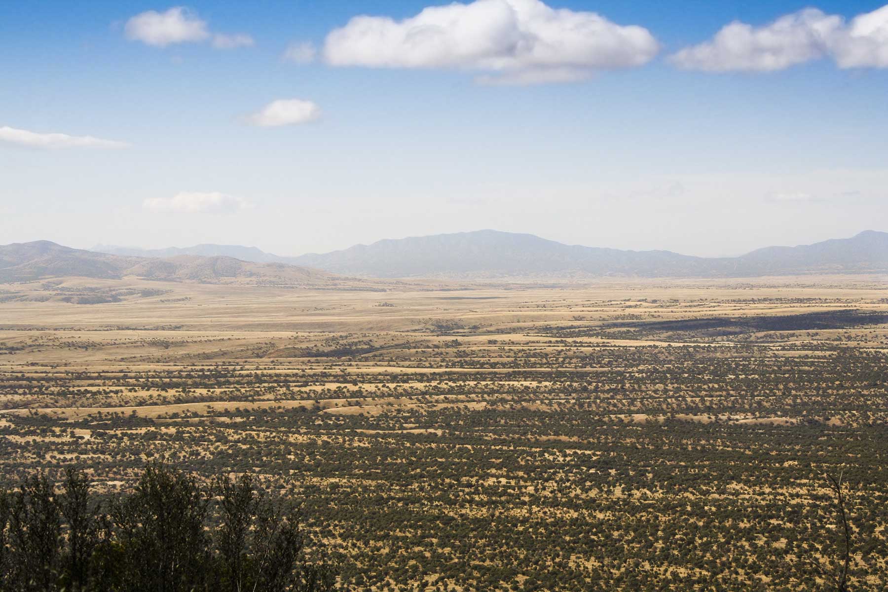 Mission Oaks Ranch property picture 70 of 76