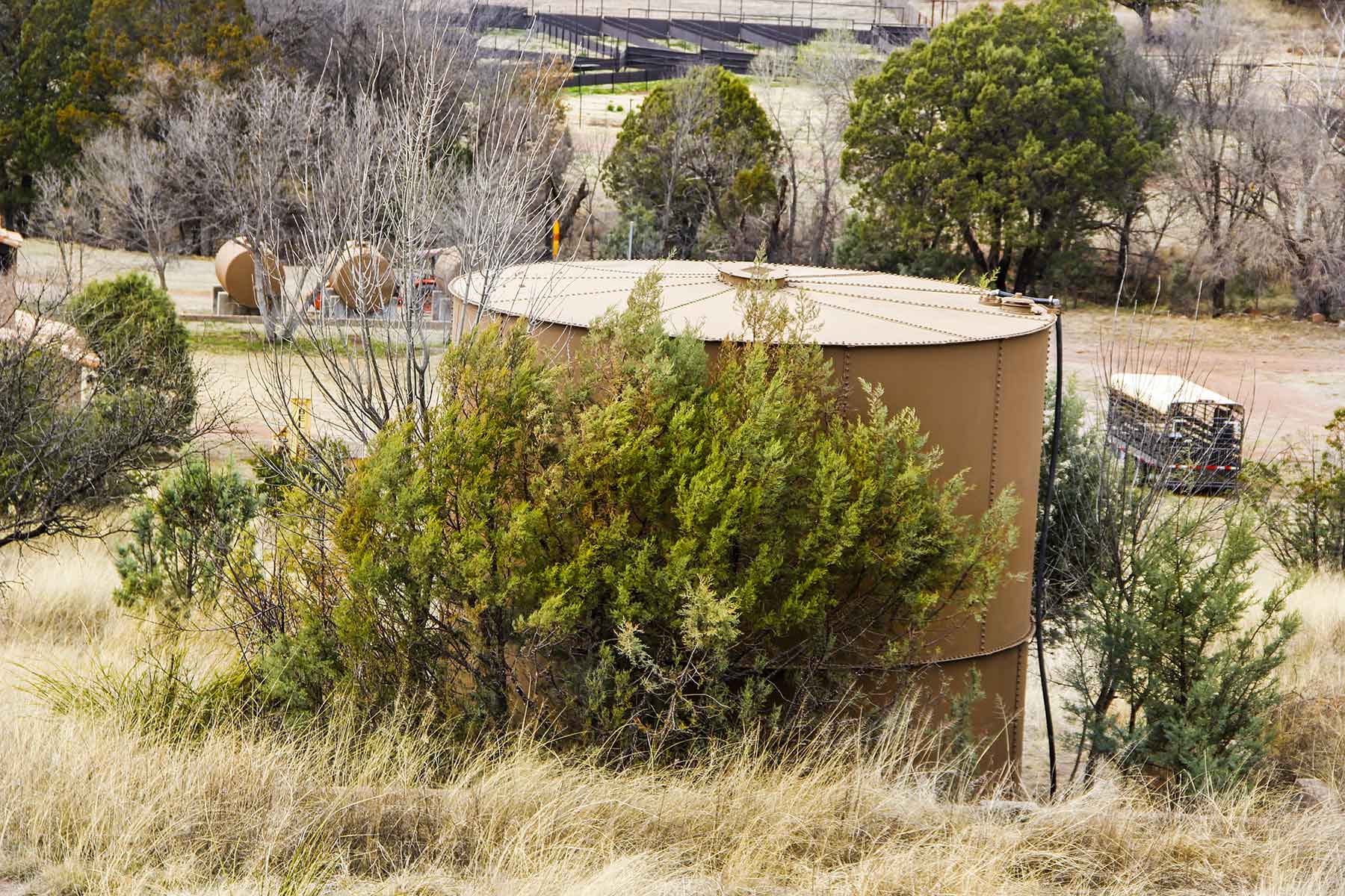 Mission Oaks Ranch property picture 66 of 76