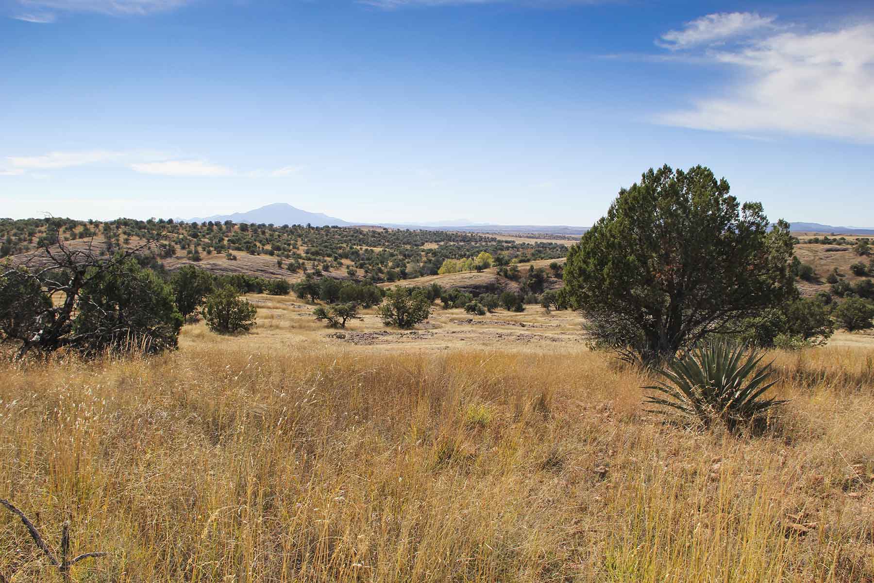 Mission Oaks Ranch property picture 57 of 76