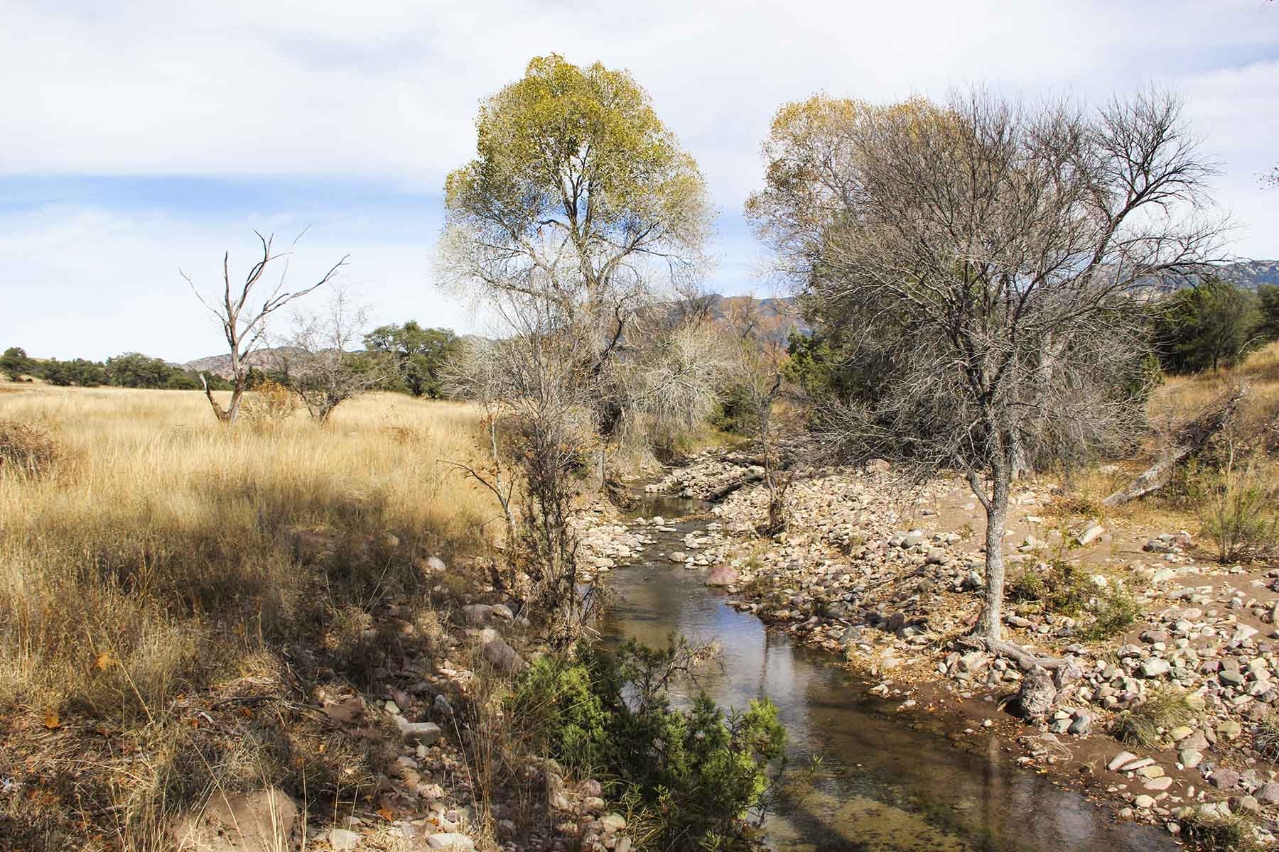 Mission Oaks Ranch property picture 55 of 76
