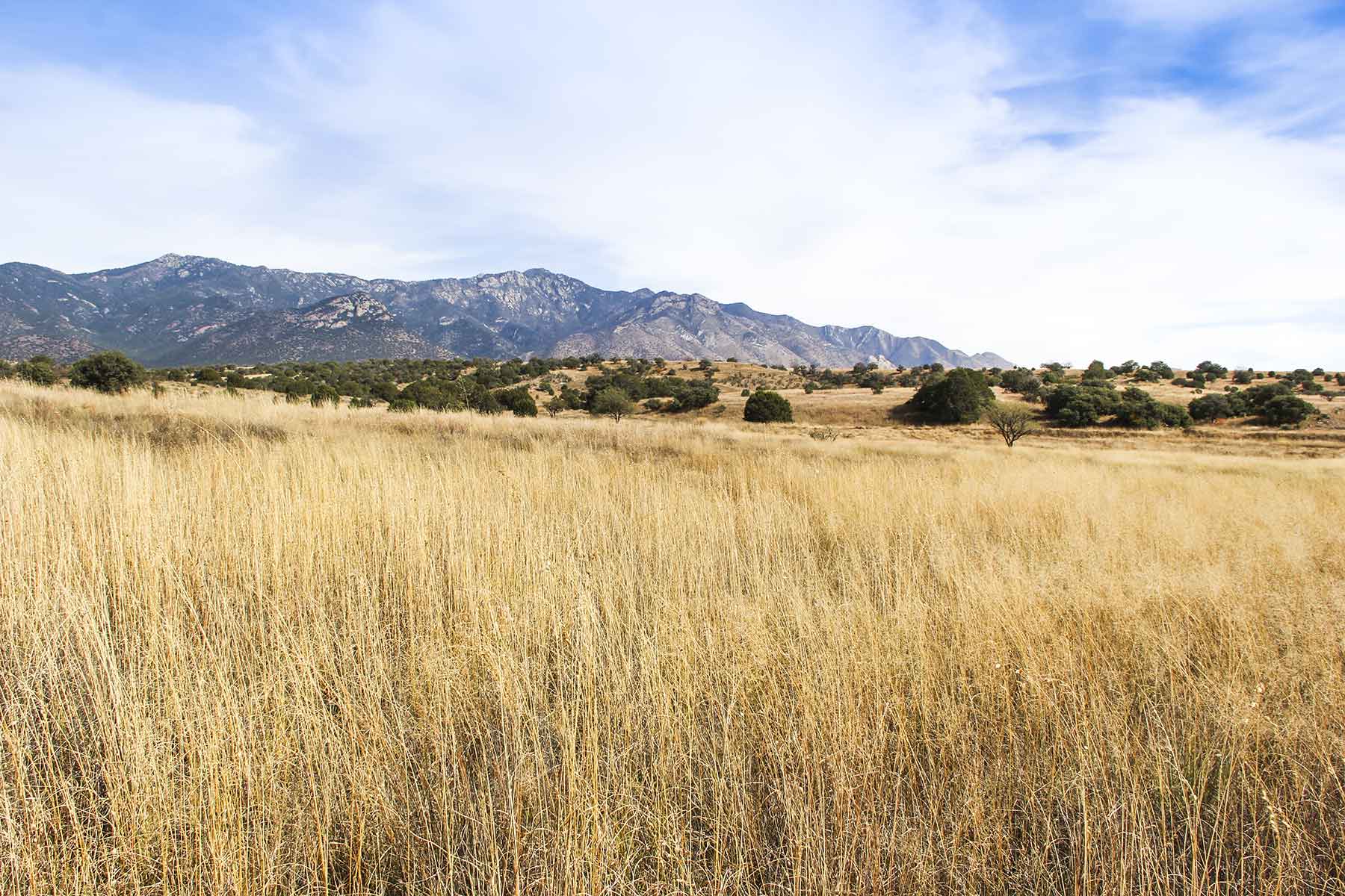 Mission Oaks Ranch property picture 54 of 76