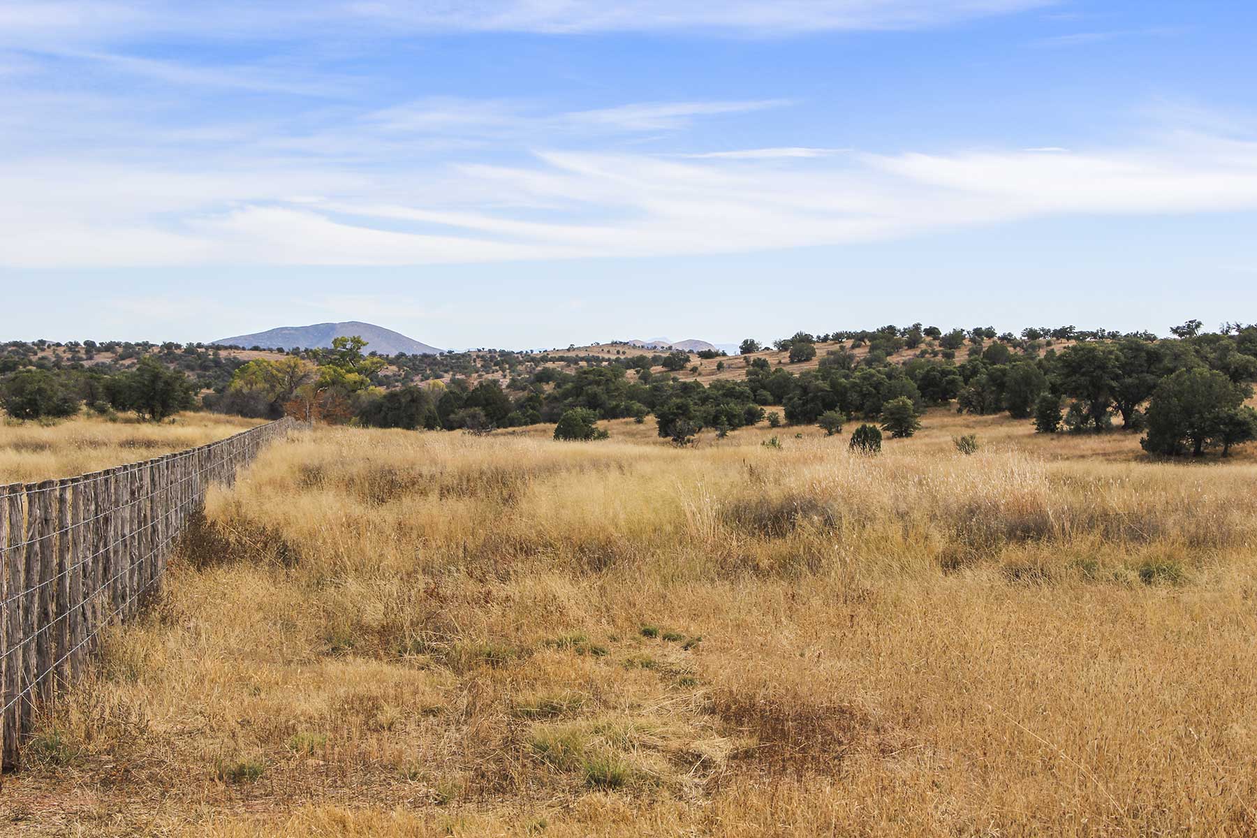 Mission Oaks Ranch property picture 50 of 76