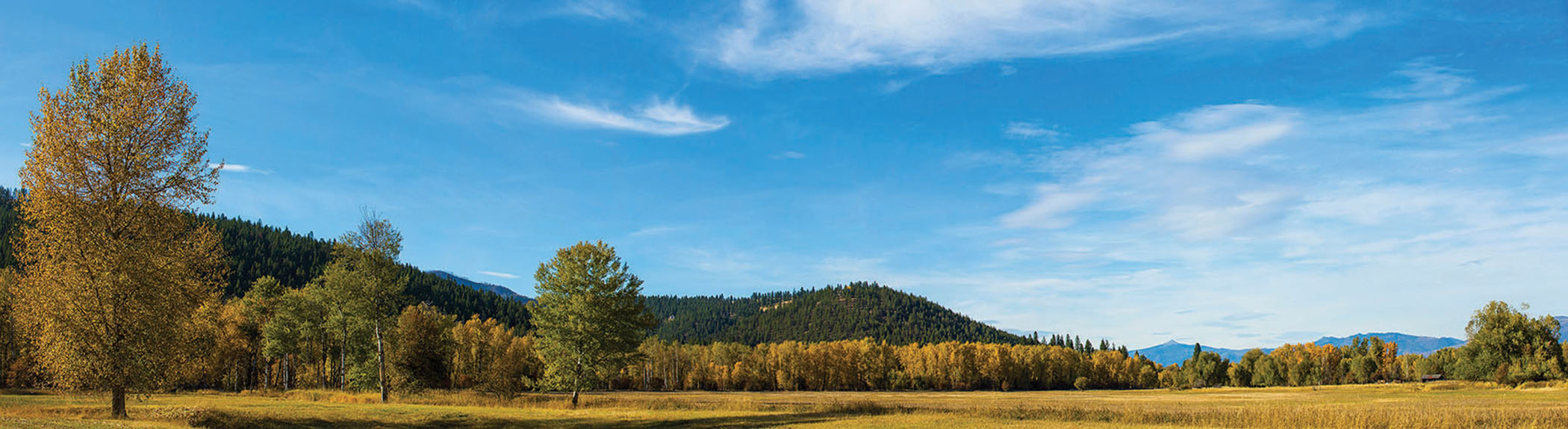 The Farm at McCauley Butte property picture 8 of 26