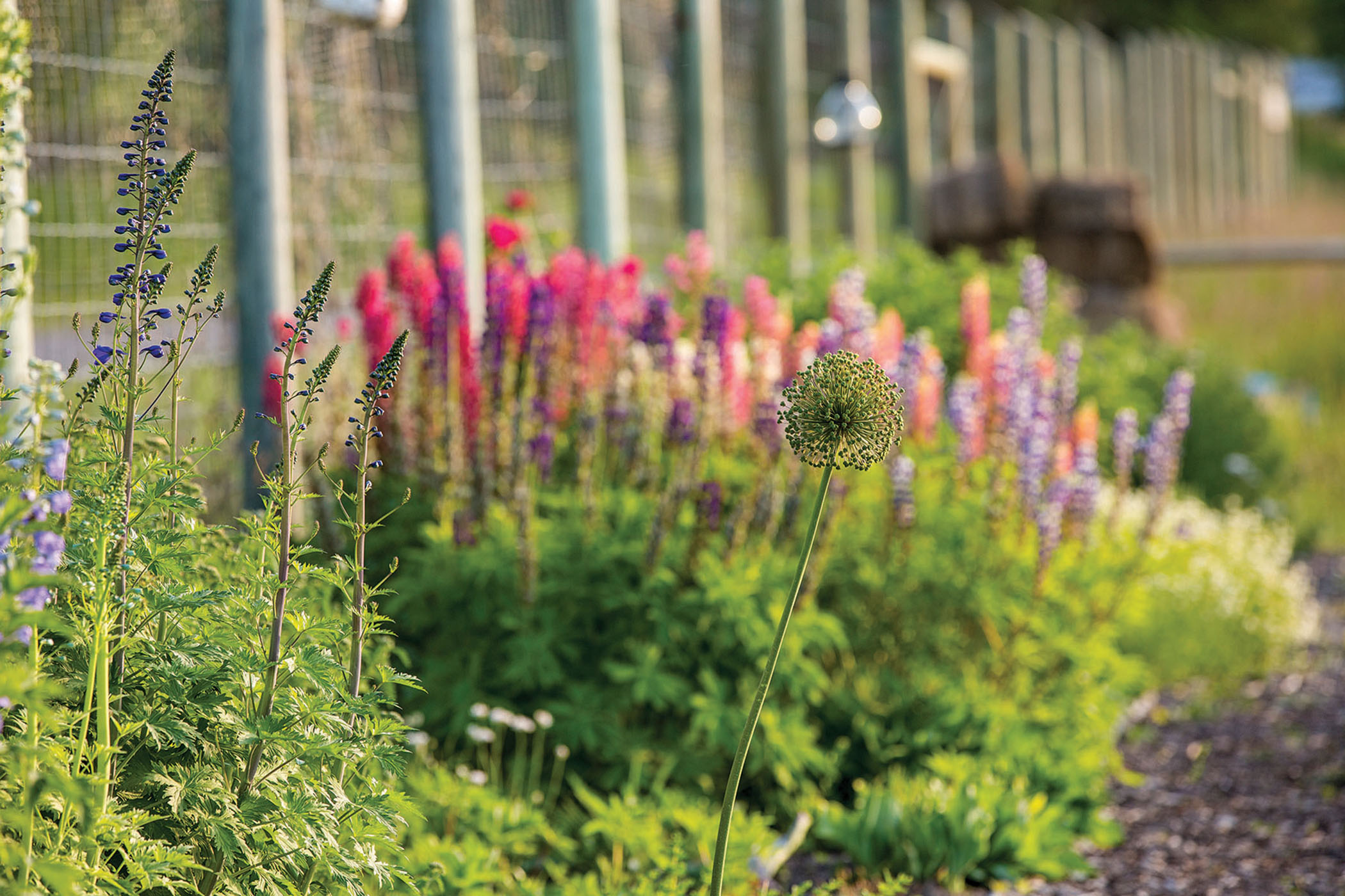 The Farm at McCauley Butte property picture 7 of 26