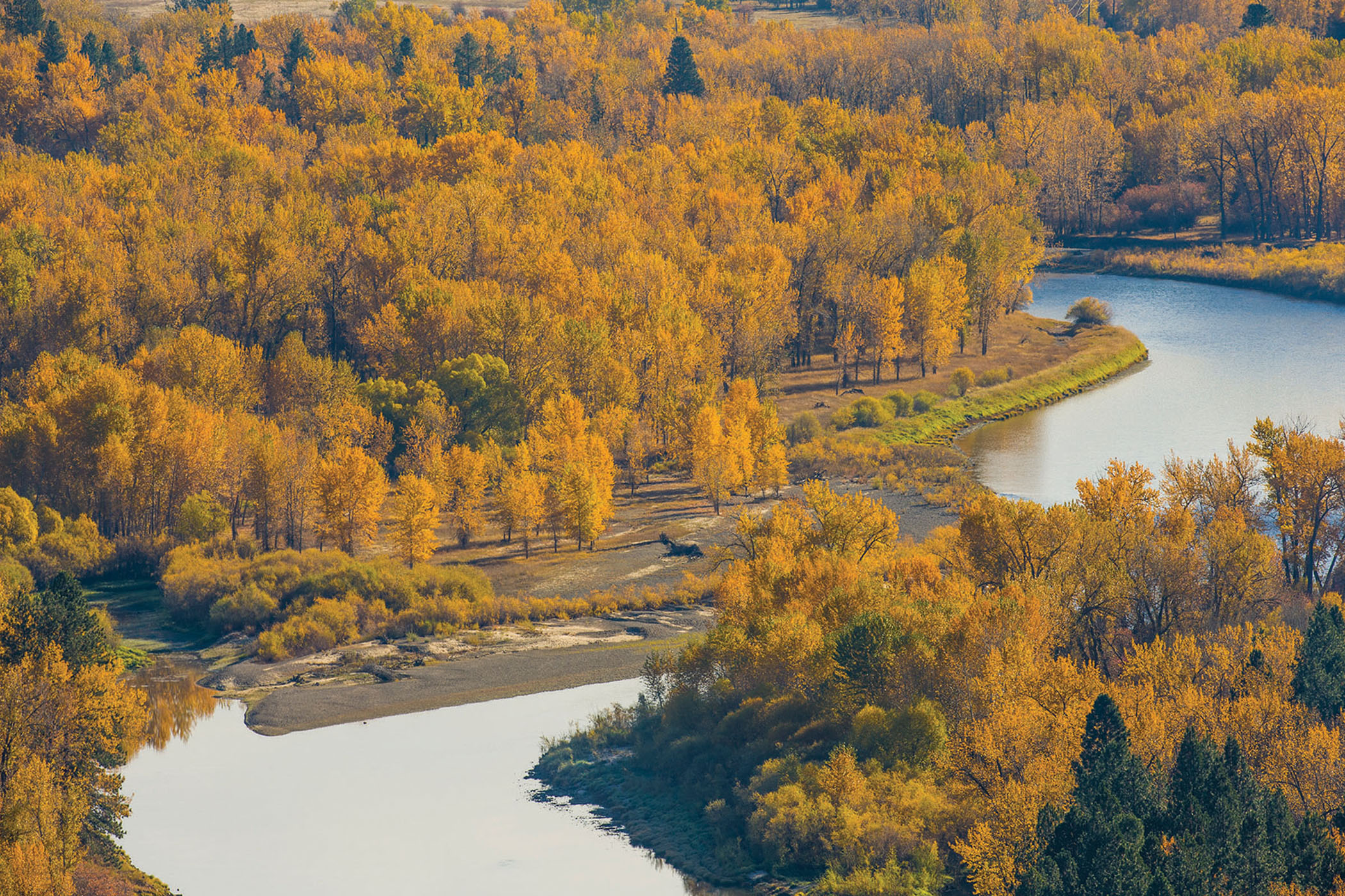 The Farm at McCauley Butte property picture 6 of 26