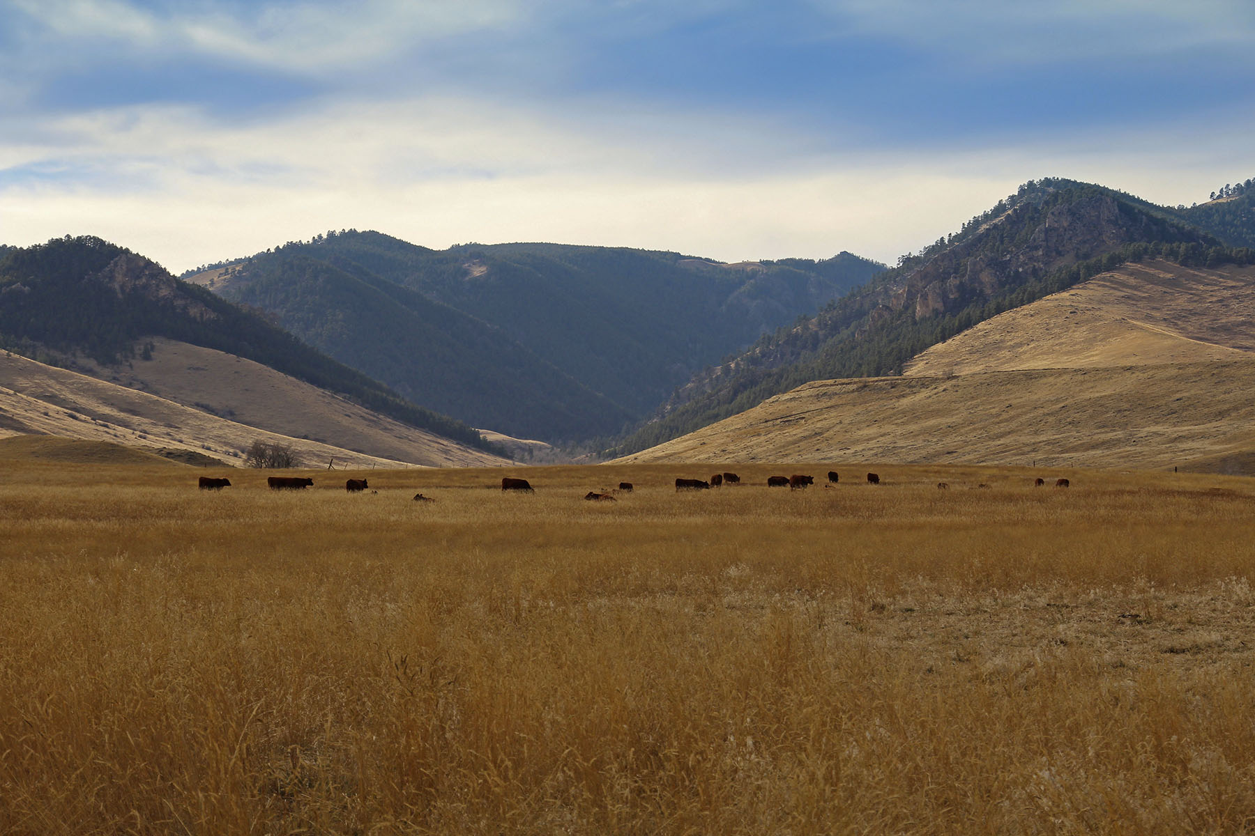North Ridge Equestrian Ranch property picture 13 of 15