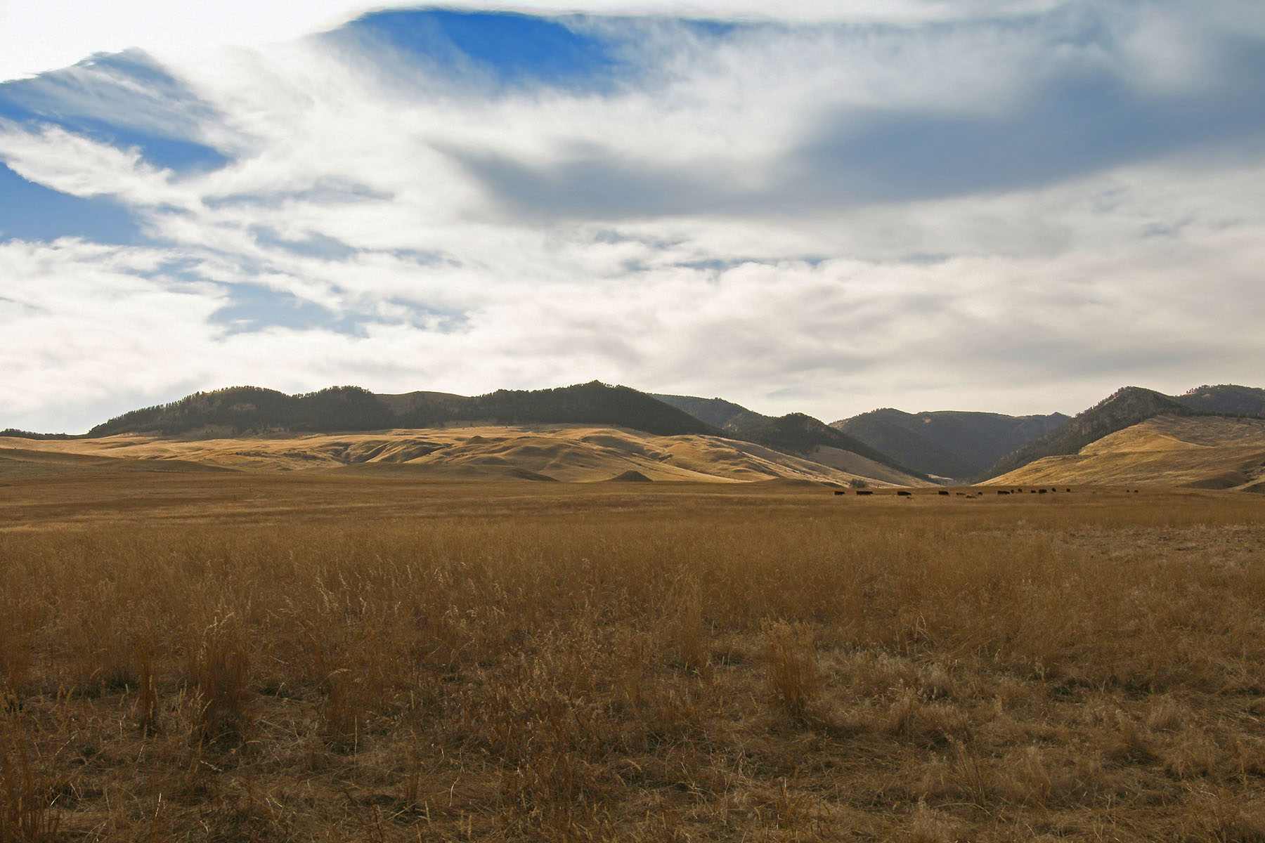 North Ridge Equestrian Ranch property picture 2 of 15