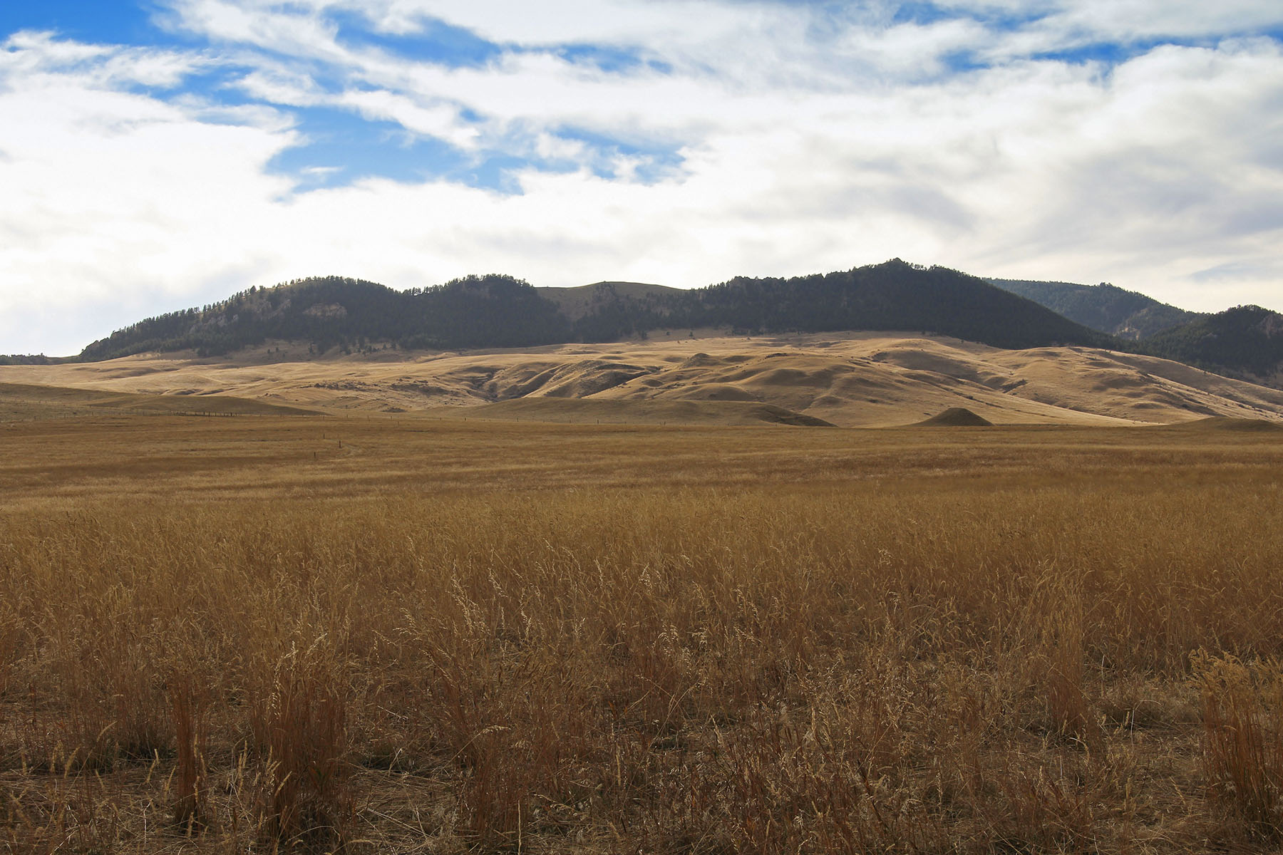 North Ridge Equestrian Ranch property picture 10 of 15